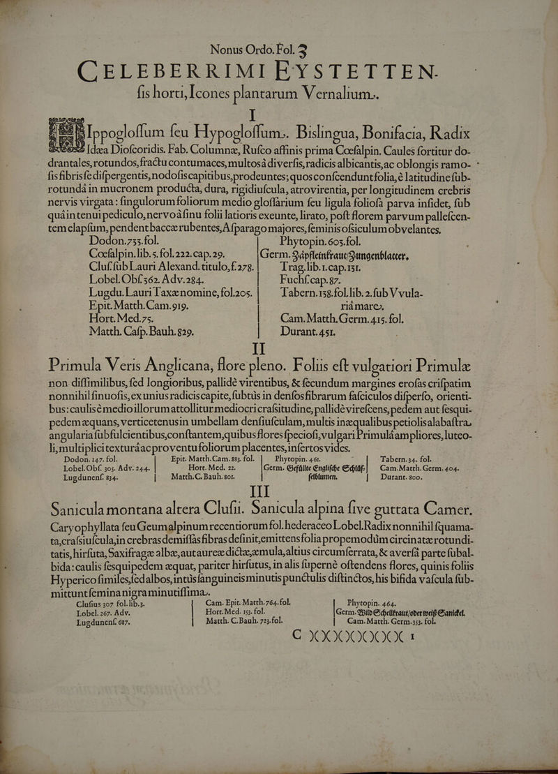 CELEBERRIMI EYSTETTEN. fis horti, Icones plantarum Vernalium.. AES Ippogloffum feu Hypogloffum.. Dislingua, Bonifacia, Radix dx [dza Diofcoridis. Fab. Columnz, Rufco affinis prima Cocfalpin. Caules fortitur do- drantales,rotundos,fra&amp;tu contumaces, multosà diverfis, radicis albicantis,ac oblongis ramo- : fisfibrisfe difpergentis,nodofiscapitibus,prodeuntes; quosconfcenduntfolia,8 latitudinefüb- rotundá in mucronem producta, dura, rigidiufcula, atrovirentia, per longitudinem crebris nervis virgata : fingulorumfoliorum medio gloffarium feu ligula foliofa parva infidet, fub quáintenui pediculo,nervoáfinu folii latioris exeunte, lirato, poft florem parvum pallefcen- tem clapfüm, pendentbaccz rubentes,A fparago majores, feminisofsiculum obvelantes. Dodon.z55.fol. | | Phytopin.605.fol. Cocfalpin. lib.5.fol. 222. cap. 29. Germ. SápflcinfrauSungenblatter, Cluf'füb Lauri Alexand. titulo,f.278. | Trag,lib.r.cap.tsr. Lobel. Obf562. Adv.284. | | Fuchf cap. 87. Lugdu. Lauri Taxe nomine, fol.205. | Tabern.is8.fol.lib. 2.fub V vula- Epit. Matth. Cam.919. rià mare. Hort. Med.75. | Cam. Matth. Germ. 415. fol. Matth. Cafp. Dauh. 829. | Durant. 45r. Primula Veris Anglicana, flore pleno. Foliis eft vuleatiori Primule non diflimilibus fed longioribus, pallidé virentibus, &amp; fecundum margines erofas crifpatim nonnihil finuofis, ex unius radiciscapite, fubtüs in denfosfibrarum fafciculos difperfo, orienti- bus:caulisémedioillorumattollitur mediocricraísitudine, pallidé virefcens, pedem aut fesqui- pedem zquans, verticetenusin umbellam denfiufculam, multis inaequalibus petiolisalabaftra. angularia fabfulcientibuscconftantem;quibusfloresfpeciofi; vulgari Primuláampliores, lutco- li;multiplicitexturáacproventufoliorum placentes,infertos vides. Dodon. 147. fol. - Epit. Matth. Cam. $5. fol. Phytopin. 46r. ; Tabern. 34. fol. Lobcel. Obf. 3o5. Adv. 244. Hort. Med. 22. Germ. Gefüllte &amp;ngtife &amp;btüf| ^ Cam.Matth. Germ. 404. Lugdunenf. 834. || Matth.C. Bauh.sor. l felotumen. | Durant. sco. | III : Sanicula montana altera Clufii. Sanicula alpina ftve guttata Camer. Caryophyllata feuGeumalpinumrecentiorumfol.hederaceo Lobel.Radix nonnihil fquama- ta.crafsiufculajn crebras demiffasfibras definit;emittensfoliapropemodüm circinaterotundi- tatis, hirfüta, Saxifrage albac,autaurez dictzz;zemula, altius circumferrata, &amp; averfíà parte fubal- bida:caulis fesquipedem equat, pariter hirfutus, in alis fuperné oftendens flores, quinis foliis Hypericofimilesfed albos,intüsfanguincisminutis punctulis diftinctos, his bifida vafcula fub. mittuntfemina nigra minutiffima.. |