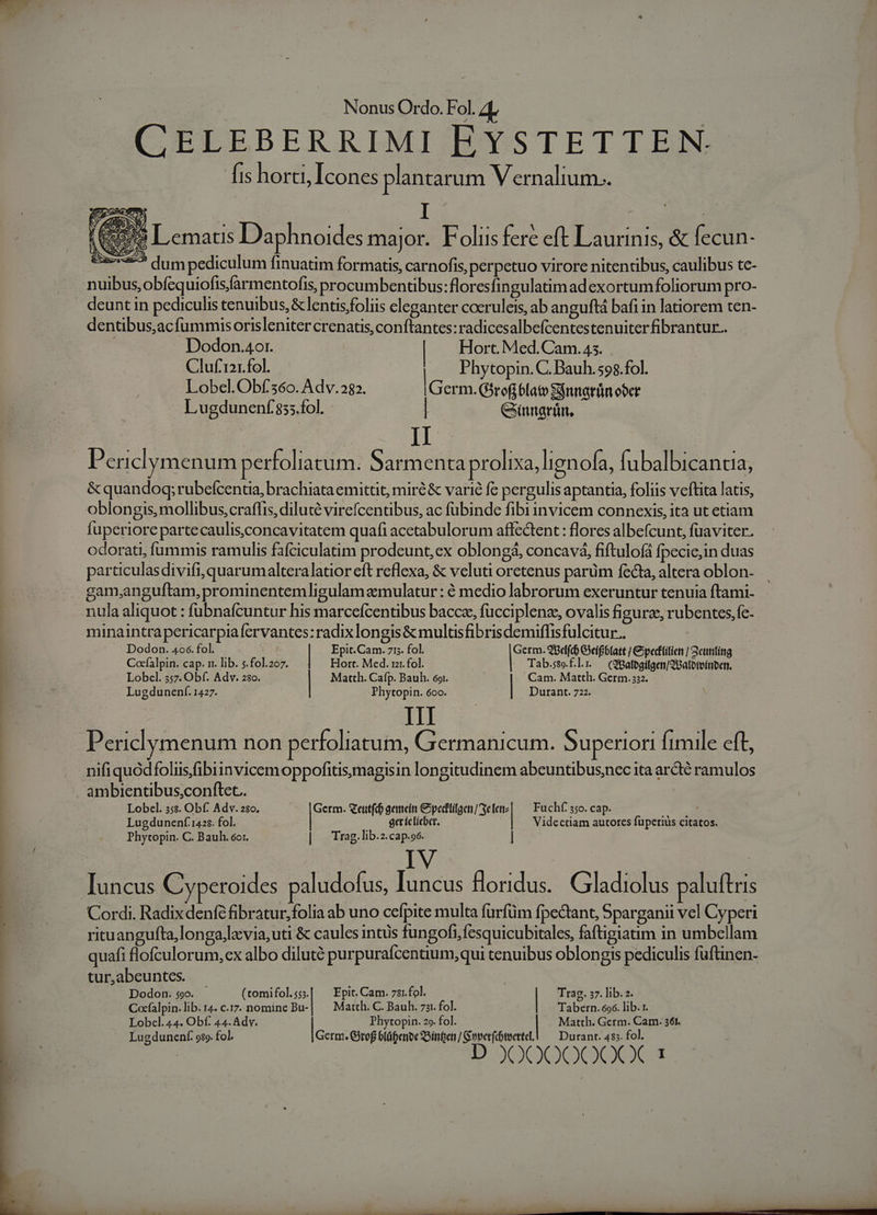 ^4 Nonus Ordo. Fol. zL CELEBERRIMI EYSTETTEN. fis horti, Icones plantarum Vernalium.. AN : . ^ e M : . ! Aie Lematis Daphnoides major. Foliis fere eft Laurinis, &amp; fecun- 82275 dum pediculum finuatim formatis, carnofis, perpetuo virore nitentibus, caulibus tc- nuibus,obícquiofisfarmentofis, procumbentibus:floresfingulatimad exortum foliorum pro- deunt in pediculis tenuibus, &amp; lentis;foliis eleganter cocruleis, ab anguftá bafi in latiorem ten- dentibus,acfummisorisleniter crenatis, conftantes:radicesalbefcentestenuiterfibrantur.. Dodon.4or. | Hort. Med.Cam. 45. Cluf'121.fol. Phytopin. C. Bauh.598.fol. Lobel.Obf 360. Adv.282. | Germ. G5rofi ólato Sánnarfin ober Lugdunenf 855.fol. | Ginnardu, &amp; quandoq; rubefcentia; brachiata emittit, miré &amp; varié fe pergulis aptantia, foliis veftita latis, oblongis, mollibus,craffis, diluté virefcentibus, ac fubinde fibi invicem connexis, ita ut etiam fuperiore partecaulis,concavitatem quafi acetabulorum affe&amp;tent : flores albefcunt, fuaviter. odorati, fummis ramulis fafciculatim prodeunt, ex oblongá, concavá, fiftulofá fpecie,in duas particulasdivifi, quarumalteralatior eft reflexa, &amp; veluti oretenus parüm fecta, altera oblon- gam,anguftam, prominentemligulam zmulatur : é medio labrorum exeruntur tenuia ftami- nula aliquot : fubnafcuntur his marcefcentibus bacce, fucciplenze, ovalis figurze, rubentes,fc- minaintrapericarpiafervantes: radix longis &amp; muluüsfibrisdemiffisfulcitur.. Dodon. 4o6. fol. | Epit.Cam. 715. fol. Germ. 98el(c Geifblatt | &amp;pelitien / Scunting Cocfalpin. cap. . lib. s.fol.207. Hort. Med. rz. fol. Tab.sse.f.l:. — (Smalbgílgen/gBaloreiniben. Lobel. 357. Obf. Adv. 280. Matth. Cafp. Bauh. 691. | Cam. Matth. Germ. 332. Lugdunenf. 1427. Phytopin. 6oo. | Durant. 722. | III P ericlymenum non perfoliatum, Germanicum. Superiori fimile eft, nifiquodfolis,fibiinvicemoppofitis,magisin longitudinem abeuntibusnec ita ardé ramulos ambientibus,conftet. | Lobel. 35s. Obf. Adv. 280. Germ. &amp;eutfd genet Papi Fuchf. 350. cap. E Lugdunenf 1425. fol. geticlicber, | Videctiam autores fuperius citatos. Phytopin. C. Bauh. 6or. | Trag.lib.z.cap.o6. IV | Iuncus Cyperoides paludofus, Iuncus floridus.. Gladiolus paluftris Cordi. Radixdenfé fibratur,folia ab uno cefpite multa furfüm fpectant, Sparganii vel Cyperi rituangufta,longa;lavia,uti &amp; caules intus fungofi,fesquicubitales, faftigiatim in umbellam quafi flofculorum, ex albo diluté purpurafcentium, qui tenuibus oblongis pediculis fuftinen-