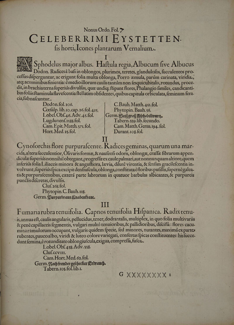 CELEBERRIMI EYSTETTEN. fis horti, Icones plantarum Vernalium.. I ERA : Sphodelus major albus. Haftula regia, Albucum five Albucus 5 Dodon. Radicesà bafiin oblongos, plurimos, teretes, glandulofos, fücculentos pro- ceflus difperguntur, ac erigunt folia multa oblon ga, Porro «mula, parüm carinata, viridia, atq; acuminibusfinientia: é medioillorum caulistantüm non fesquicubitalis, rotundus, procc- dit,;in brachiaterna fuperiusdivulfus, qua undiq; ftipant flores, Phalangio fimiles, candicanti- busfoliisftaminulaflavefcentia ftellatim obfidentes, quibuscapitula orbiculata, feminum fera- cia fubnafcuntur.. Dodon.fol.20o6. C. Bauh. Matth. 451.fol. Cocfalp. lib.1o.cap. 26.fol. 415. Phytopin. Bauh.56. Lobel. Obf 46. Adv. 45.fol. IGerm.s&amp;aiiarof S fpbooillconrts. Lugdunenf 158$.fol. | Tabern.s3o.lib.fecundo. Cam. Epit. Matth.571. fol. ! — Cam. Matth.Germ.ro4. fol. Hort. Med.25.fol. | Durant.108.fol. | C ynoforchis lore purpuraícente. Radices geminas, quarum una mar- cida,alterafucculentior, Olivaris formz, &amp; naufeofi odoris, oblongz, crafYx fibrarum appen- diculz fuperius nonnihil obtegunt;progreffe ex caule palmariaautnonnunquamaltiorequem : inferius folia Liliaceis minora &amp; anguftiora, lzvia, diluté virentia, &amp; fenfim gracilefcentia in- volvunt;fuperiusfpicaexcipitdenfiufcula;oblonga;confütutaé floribus pufillis,fupernégalea- tis&amp; purpurafcentibus, cacterá parte labrorum in quatuor barbulas albicantes, &amp; purpureis punctis difcretas, divulfis. | Cluf.26$.fol. Phytopin.C. Bauh.ui$. Germ.$Spurpurbraun &amp;nabenfrauc. Fumariarubra cenuifolia. Capnos cenuifolia Hifpanica. Radix tenu- isannua eft, caulisangularis, pellucidus,tener, dodrantalis, multiplex, in quo folia multivariis &amp; penécapillaceis fegmenus, vulgari multó tenuioribus, &amp; pallidioribus, difciflà flores cacu- minaramulorum occupant, vulgaris quidem fpecie, fed minores, nutantes, maximá ex parte» rubentes, paucoalbo, viridi &amp; luteo colore variegati, confertas fpicas conftituentes: hisfucce- duntíemina;é rotunditateoblongiufcula;exigua; com preffa, fufca.. Lobel. Obf 438. Adv. 558. Cluf.ccvurr. Cam.Hort. Med. 62.fol. Germ.93otbfretmoer aefchecfter £roratt) Tabern.105.fol.lib.1. G XX0O000€0€CX 1
