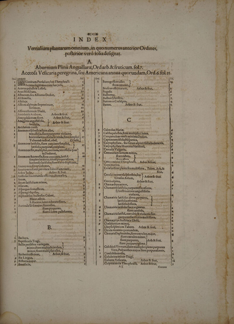 Anemone latifolia,flore coccineofimplici, Caryophyllata, fcu Geum alpin foliishederacei, 5 La: wl GB | latifolia purpurafcens plena. Caryophyllata Montana Matthioli, j | Anemone flo,multiplici,coccinea,tenuifolia is Caucalis Vulgaris, v UT E s 4 4  E ^w E. , ^R E VA s. ^. d &amp;(0)5t xk TUI€*€ P EG Versaliumplatarumomnium in quo usbécenemept idm] | - . .pofterior veró foliadcefignat. ' L3 ;* A. * : : i A buciinirà Plinii Angnillara; Ord. ub &amp;fruaücum. fol;7. r m Aosals Veficaria peregrina, fcu Americanaannua i quorundam,Ord. dia IS. EE emm  RH Ord. s. AX, CMELUET Fol, S e ConitumPardalianches Theophrafti. ^ — .—$ j. ls NM forealbb. 1- dg IAS! A coruslegitimuscum fuojulo, —.— ..- floreceruleo] — . mii EE o uM 8 | Acorus paluftris Lobel, Los Brufcusofficitarurn, C. ARDOLSM EUR Ouf. . * — 4637 | CES B s yb. mem I |Bugula L9 WPCRSCPPE, Ne | mE € Albucum;feu AlliucusDodon, 1 |Bulbonac. — que l7 E nat i | € | Alchimilla, uL cre 77 2 |Bulbusfylveflris,: | 7 ; 6 | Alleluja. p I 9 |ButomusCocfalpin, la n | 4 |Alliumalpinumferpentinum, . | i: Buxus, Axbor &amp; fryt, i Hd ; Urfinum, ^t - 1o | : [ 6 | Alfinanthemon Thalii, Ae .32 | j | « | Amirberis Arabum, Arbor&amp;frut. -.. eut )pl Ei j | : )4 5; 94 Amygdala cum flore. i Arbor&amp;frut, — [3 ; C  4 : . |Anagyris anguflifolia, * l 4 | | X ph. 4 1: radit Er es d 7 | ! A I Anblatum com. ^ ai ALS E | : | E 1 ocnen el eL AR d . Jt. m Calceolus Mari. - 16 3 tenuifolia,flore purpureo violaceo, 1 r Caltha paluftris, flore multiplici luteo, ; ls : $ | hortenfistenuifolia fecundafflorefimplici* 17 |Campanulaarvenfis minimaDodon, gt - Tuberosà radiceLobel, (Clutii,] j ri n E $ g 7, Centaurium luteum minus, rá [o] : taDodonei, T4 odii ds A có —gponcueune |CapnostenuifoliaHifpanica, : 1 | Anemonehortenfis flore coccineo,latifol. 1 | florerubro, d lo ^ fi implex latifolia .dilutépurpurafcens, ^ floic albo, ih m | hortenfis latifolia;flore flavo dipicas] 5s H Centrossieini THeaphr M Ev EN EP ; 6. | Anonymos fiore Colutez,, T I. |Cepamarina, l eR &amp; | Anonymosforté pervincz foliojCamerarii, —.- [entitas plenoffeumultiflora, Taber,Arb,&amp; — : g]Arbor]judm;s..5.* — Arbor Be fru. rs i dedi d Brun Gihalyefder, .— rut, I: I. bii Ariftolochia rotunda officinar.florealbo,. 2] |c era JETUM — eitrisfeu T aee fut É i Arum, adl. - s Avium, 2. | Árum latifolium minus, - E^. | Cercis alpina, Aibotscfiut, ; él Arum; V $ |Chamzdrysminor, (1 lo : » |Afpargus domeflicus, 8 «| 8 |Chamairislatifoliapurpureoflavefcens,  M 9 | Afparagi thyrfus, T. fylveflris minoranguflifolia. E $ | Afphodclus bulbofus Galeni, ] P | 5 Ch pre violacea, ad l. | d ^ Major;albus. ? cH atifolio altera purpurea, . : NAE 9 Liliaceus,luteo odorato flore, - 8 | A WE RR taba zoniasQene | t 3 : * 1 E J- T igi ri ; : LS E pipe ir emi d 8 y namairis aoi eggardentep, 2 sr yngle-oera (t à t 8 orecandido, : 1 , I . floreéluteo uA D 2 H i | Ehumaiielattol eccle : : ul ) - purpureoflavefcens HLHGRRe | -^ 12 » | Ear | E^ 7 Chamapitys Auflriaca Clufii, an. ib é | x* x 9 |Chelidonium minus, 2 r B. Es ifie Tabern. Arbor&amp;írmut, — z  | -— 7 |Cicutamaximaquorundam, yen 2 2s v NA 5. 9 | | ClematisDaphnoides,florecocruleo, major, | 4 j 6 | Bachara, | — 9 | | flore coeruleo minor, * 7 |Baptifecula Tragi, : 7 E | flore purpureo, fArb. ,&amp; frut, 2 hr Bellis prolifera variegata, 1 flore purpurcopleno.j zl 7 minor/flore multiplicirubro, * l| 2 ji Vernumyjflore multiplicpleno purpureo l ; minor,flore multiplicialbo, j 3 Vern,Polyanthos majus flore purpurafcente, 1 Berberis cidit Arbor,&amp; frut, - EN 1 |Confolida media, | 6 9 | Bis Lingua, E Colubrinz minor Tragi, . , 9. |Biftrortamajor... 2| Colutea V eficaria, ' .- Arbor&amp; frut, — n Bonifacia, : ;| 1 Colytéiterti Theophráfli, Arbor&amp;frut, .|3 AX .Corona x ; d 1 í 3 € 2 Er v