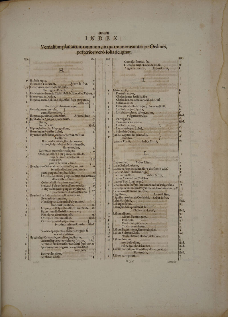 oo ww Oo co O9 CO [c] M t QN Oy tA VS NS EN 9 Poo ue Ww og, —À Ó——— Fol, Comofus fpurius, feu | C »mofusmajór Lobel.&amp; Clufii, - 16 Anglicus cinereus, Atbor&amp; frut, 3 oer | Iris re m l. Pratenfis major, l Chalcedonica latifolia,feu Chalcedon.maxima variata Lobel, vel ! Sufiana r.Clufii, 4 Florentina latifolía major, colorecandidiff, 4 Latifolia major,Illyrica, : 4 Latifolia,violaceo colore,major, ...« ^. «4 vulgaris coerulea, ibid, Portugalica, 6 Pannonica variegata, ibid. Latifolia decima, Lu 12 : Lutea variegata Lobel, H à |: SylveftrisGaleni ede S Juncus Cyperoides Siiadafsus . Floridus, eni i£éxav^o T halii, - - Arbor&amp; frut, ABRE TENEO rut; É,Isdo JT gIuq —— -. 7 ;LaleChalcedonicum, 2 Lamium Pannonicumi, flore albefcente, Cluf, 7 LanceaCh rifti Herbariorurn;! l E. Lauruscum flore, Arbor &amp; frut, ó Laurus Alexandrina Cluf. feu Laurus Taxa Lugdunenf, : 2» Leucojum bulbofumferotinum minusPolyanthos, [17 Leucojum bulbofum Polyanthemü ferotinjalbum, &amp;l : Leuconarciffolixion pratenfe, | 10 Liguftrum, Asbóí &amp; ffut; 1: Liguftrumorientale clin óshák &amp; frut, | rz LilacMatthioli,..- 5640s: iol auibzld ibid. Liliasphodelus;....; go m »iol 8: Liliasphodelus paaiceasCliihs fedi fts : Pherniceus Lobel, olor — [ibid Liliumalbuema, :o:55s vlc aoisesuilotion 9 ; . Album: Byzantinum,. ifc enitomo ni Io 5 — Pericum, o5411l l4 Cruéntum puniceum;. diinzoi 8  Croceum miniatüm, | | 6, Lilium Byzantinum,flore multiplici, 9 Lilium Sultanx Clufii,-.:.:55i IO: Nonbulbofuni Dodon,&amp; Camerar, i $ Lilium fatuum, | 9 .. non bulbofum, l ibid . rubrumasphodeli radice, ibid. Lilium convallium florealbo ;odorato,maj us, ó - florerubro, | ibid Lilium variegatu m, B XX | Limodo-