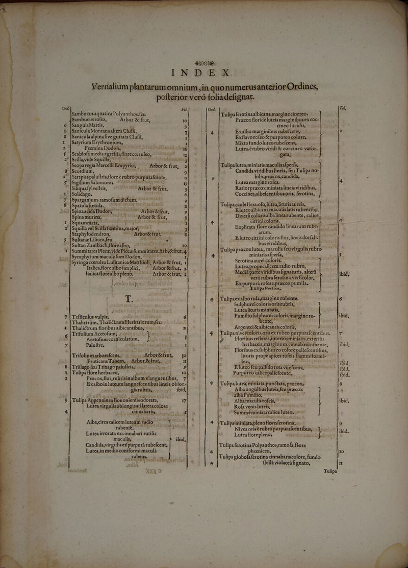 Sambucus aquatica Polyixilda! feu Sambucusrofea, Arbor &amp; frut, IO : Sanguis Martis, o Banicula Men EC, i : 4 Saniculaalpina five guttata Clufii, | | I jSatyrumErythronium, —— ^a 2* FeminaDodon, ^ ^ ^. 7 564 16 $3 Scabiofa media grefli lore cceruleo, MEBSBQpC — p 2'|SdillavideSquilla,;  E Scopa regia Marcelli Empyrici, ^ Arbor&amp; ian st|scobdius. 4 Serapias paluftris flore c e rebró vient: $ jSigillum Salomonis. ^ W Siliquafylveflris, : |Solidago, ^^ uar. a a voce com bino qu Spatulafoetida. ^ ons ,bid ii| Sina ae ED dg o pu Arbor fiut, Spina murina, LE , Arbor&amp; gu I |Squammata, T 2 Squilla vel Sienna sot i Staphylodendron, abortu, im 2». $ L Lilium,feu . P —. 1: Aibór&amp; früt, M € À— O9 u» m 000 CO € Ov u X O0 Wo Sultan Zambach florealbo, . foy IO 1 |Summitates Picez,videPicez fummitates. Aib. ift 4 , J|Symphytum maculofum Dodon,; —- ^ -- T. |Syringa coerulea Lufitanica Matthioli, Arbor&amp; frut, 1| Italica,flore albofimplici, ^ Arbor &amp;frut, 2 Italicaflorealbo pleno. . Arbor &amp; frat, 2 EA [ i —ÀÓ— 7 | Tefliculus vulpis E m Thalietrum, Tc Denablesbisemnig f Thalictrum Fm albicantibus, — n| 6 Trifolium Acetofum, «05 Yos : Acetofam cosiculatüm, ligluvaad J 7 Paluílre, dis 519 2üsianivo: 1 1 | Irifolium atborbísenaiy  Arbor&amp;frut, jo Fruticans Tabern, .. Arbor&amp;cimt, UH - n 8 |Triffago feu Trixago paluftris, .. HP. E 3 |Tulipa flore herbaceo, IO 1 — Przcoxflor, rulsbicialbust dMacswrnibus rd Exalboinluteum languefcentibus lineis oblon- »mle otn so gleru Bionic ibid, ; Tulipa App mE reu $odofata, ee m d Luteavirgulisoblongisad ateracolore. E | * , cinnabaris,. lemzc d ] Albi.circtcalicem lorc radio ] ay T E | rubent, ] nre Luteairrorata ex cinnabari rutilis | maculis;  Candida,virgulis e purpurá rubefcent, | | Lutea,in medio coniformi maculà | | | os BIMBI its Ju: 2L XXX 9 antt, MEER UD uoc ee uc | | | | | | | | | | tt [^ ES | H | | 1! |J Ord. | 4 U3 t — — — M d UID —— — — 4- 4  Tulipaferotina albicans,margine cinereo. | Przcox floridé luteis marginibus excoc- cineo lucidis, Exalbo marginibus rubefcens, | Exflavo rofeo &amp; purpureo colore, f Mixto fundo luteo rubefcens; | Lutea;é rubro viridi &amp; coccineo varie-. | ^ gata, Tulipalutea,miniatis maculisafpería, , Candida viridibus lineis, feu Tels: no- bilisprzcox,candida, Lutea margine rofea. Rariorprzcox miniata lineis viridibus, Coccineajalbefcentibus, oris, ferotina, —— € ses cauleflexuofo,lutea,lituris aureis, Eluteoalbicans maculis latis rubentibo, Diverfi coloris albalinea rubente, calice, citrini coloris. Explicata flore caridido linearum rübe- | arum, E luteo citrini coloris flor, lineis dorfali- |. bus viridibus, Tulip pracoxlutea, maculis feu virgulis rubr miniatis afpería, » Serótinaaurei coloris. Lutca;propecalicem radio rubro, Msg parte viridibus fignaturis, alterà ^. véróruübraferotina verficolor, Ex x purpurà rofear1. pracox pumila, Mer 4 LI 4 Sulphureicolorisorisrubris, - . Lutealituris miniatis,. eo colorismargine rfu- ente, Argentei &amp; albicantis coloris, o A amma a -  [0] RET S Tulipaniveicolorisorisex tubeo pürpuraftentibus. | P Floribus reflexis interit miniatis, extériüs s herbaceis,margine ex cinnabari rubente, ibid, —- Hloribusexfulphureo colore: pallefcentibus, | E E E A ^ | . bus, ET feu pallido tota virefcens, Purpürco calice pallefcente,.- P palutea, miniata,punctata, praecox, e Albaunguibus RN ecos ^ albaPumilio, ^ Albamaculis rofeis, Rofa venis luteis, ' Summéminiatacalice luteo. Me — uu Tulipa miRiatapleno flore/ferotina, Nivea orisérubro pu gusce tese Luteaflorepleno,  Tulipa ferotina Polyanthos,ramofa;f lore hoeniceo, ftellà violaceà fignato, Sy) |&amp;a. | ibid, ibid, oo es P Lac] RR - VASA oni HIE DESEE e E ERE E EE ——— m. Low -— £- Tulipa
