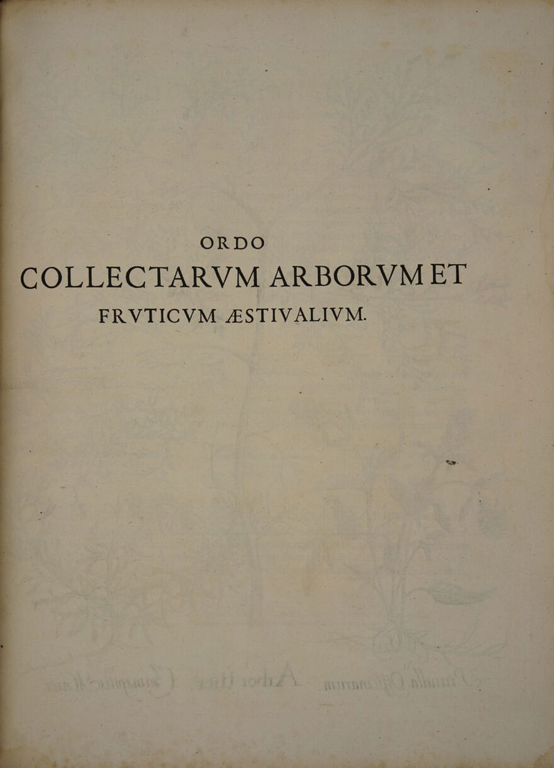 Ba ORDO T COLLECTARVM ARBORVM ET [ FRVTICVM £STIVALIVM. —