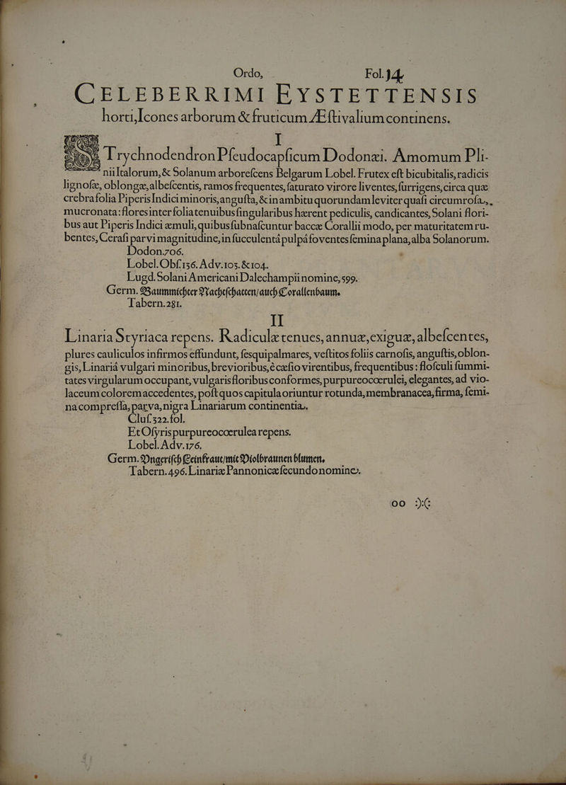 Ordo, Fol.J2L ; CELEBERRIMI EYSTETTENSIS horti,[cones arborum &amp; fruticum ZEftivalium continens. - debo | I S^ M 2 E Irychnodendron Pfeudocapficum Dodonzi. .Amomum Pli T niltalorum,&amp; 5olanum arborefcens Belgarum Lobcl. Frutex eft bicubitalis, radicis lignofz, oblon ge, albefcenus, ramos frequentes, faturato virore liventes,furrigens,circa que crebrafolia PiperisIndiciminoris,angufta, &amp;inambituquorundamleviter quafi circumrofa.,, mucronata:floresinterfoliatenuibusfingularibus haerent pediculis, candicantes, Solani flori- bus aut Piperis Indici muli, quibusfübnafcuntur bacca Corallii modo, per maturitatem ru- bentes, Cerafi parvi magnitudine, in fucculentá pulpáfoventesfemina plana, alba Solanorum. Dodonzos. Lobel.Obf'56. Adv.105. &amp; 104. Lugd.Solani Americani Dalechampii nomine, 99. Germ. $5attniníicter 9 Yacbefcbattenyaucb £orallenbaum. Tabern.2$r. | II Linaria Syriaca repens. KRadiculz tenues, annuz,exigug, albefcentes, plures cauliculos infirmos effundunt, fesquipalmares, veftitos foliis carnofis, anguftis,oblon- gis, Linariá vulgari minoribus, brevioribus,é carfio virentibus, frequentibus : flofculi fummi- tates virgularum occupant, vulgarisfloribus conformes, purpureococrulei, elegantes, ad vio- laceum coloremaccedentes, poftquos capitulaoriuntur rotunda,membranacea, firma, fcmi- nacomprefla, parva,nigra Linariarum continentia.. Cluf.322.fol. EtOfyris purpurcocoerulea repens. Lobel. Adv.176. Germ.90ngerifcb (Eeinfraucimic Diolbraunen blumert, Tabern.496. Linaric Pannoniczfecundonomine-. € CX oo C