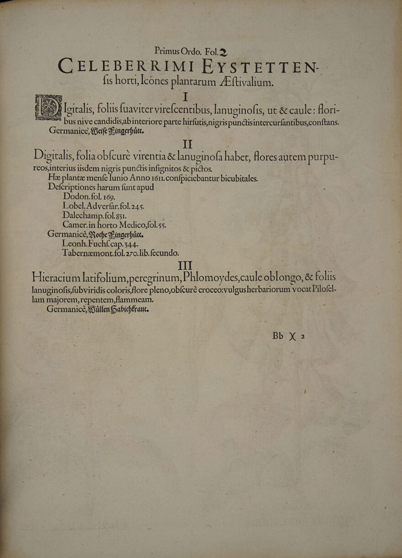 | CELEBERRIMI EYSTETTEN- [is horci, Icones plantarum AE ftivalium. Ih localis, folus fuaviter virefcentibus, lanueinofis, ut &amp; caule: flori- ETE A bi: nive candidisabinteriore parte hirfütis,nigris pundtisintercurfantibusconftans. Germanice Sficife 9E imgerbüc. Digitalis, folia obfcure virentia &amp; lanuginofà EARS flores autem purpu- M iisdem nigris punctis infignitos &amp; bios Ha plantz menfe Tunio Anno r6rr. confpiciebantur bicubitales. Defcriptiones harum funt apud Dodon.fol. 169. Lobel. Adverfar.fol. 245. Dalechamp. fol. 851. Camcer.in horto Medico,fol.ss. - Germanicé,9$otje2£ ingerfüet, Leonh.Fuchf'cap. 344. | ME onH fol. 270.lib.fecundo. Hieracium latifolium peregrinum, l'hlomoydes, caule oblongo; &amp; folis lanuginofis, fübviridis coloris;flore pleno,obfcuré croceo:vulgusher baton vocat Pilofcl- lam majorem, repentem,flammeam. : , Germanice, Silla Oabicbfrauc. Bb X2»