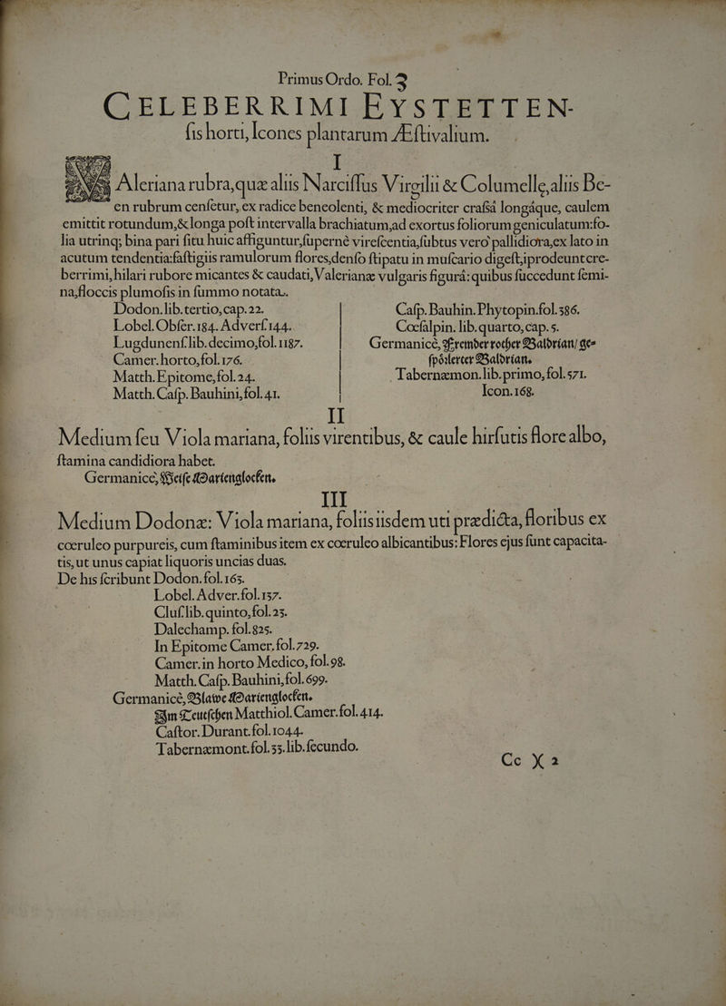 CELEBERRIMI EYSTETTEN- fis horti, Icones plantarum Ac fuvalium. 22s Aleriana rubra, qua aliis Narciffus Virgilii &amp; Columcelle,alis De-- - . enrubrum ceníctur, ex radice beneolenti, &amp; mediocriter crafsá longáque, caulem emittit rotundum,&amp;longa poft intervalla brachiatum;ad exortus foliorum geniculatum:fo- lia utrinq; bina pari fitu huic affiguntur.füperné virefcentia,fübtus vero pallidiora;ex lato in acutum tendenta:faftigiis ramulorum flores,denfo ftipatu in mufcario digeftiprodeuntcre- berrimi,hilari rubore micantes &amp; caudati, Valerianz vulgaris figurá: quibus fuccedunt femi- na;floccis plumofis in fümmo notata. Dodon.lib.tertio,cap.22. | Cafp. Bauhin. Phytopin.fol.586. Lobel.Obfer.184. Adverf'144.. Cocfalpin.lib.quarto,cap.s. Lugdunenflib.decimo,fol. 187. | Germanice, 9f tetmber rocher 95aloríatu de» Camer.horto,fol. 176. | fpóercer 9Saloríat, Matth. Epitome,fol. 24. | Tabernzmon.lib.primo,fol.s571. j Matth. Cafp. Bauhini, fol. 41. Icon.168. 1 Medium feu Viola mariana, foliis virentibus, &amp; caule hirfutis flore albo, EC ftamina candidiora habet. E. Germanice, Seife 9 artenafocfe, 1 | CE NM p. o | Medium Dodona: Viola mariana, foltisitisdem uti praedicta, floribus ex cocruleo purpureis, cum ftaminibus item ex cocrulco albicantibus: Flores cjus funt capacita- - tis ut unus capiat liquoris uncias duas. De his fcribunt Dodon.fol. 165. Lobel. Adver.fol.157. Cluf.lib.quinto.fol.25. Dalechamp. fol.825. In Epitome Camer.fol.729. Camer.in horto Medico, fol. 98. Matth. Cafp. Bauhini, fol.699. Germanice, 93(atoc ffo atienaltocfen. Sym &amp;ceucfcen Matchiol. Camer. fol. 414. Caftor. Durant.fol. 1044. Tabernamont fol.35.lib.fecundo. Cc Xa