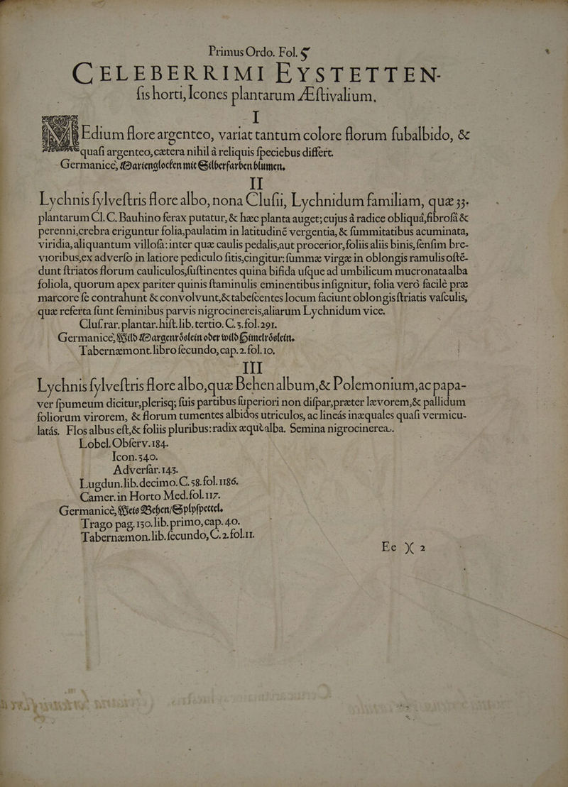 CELEBERRIMI EYSTETTEN: (is horti, Icones plantarum /Efüivalium. 2/8 Edium floreargenteo, variat tantum colore florum fubalbido, &amp; iwe'Squafi areenteo, catera nihil à reliquis fpeciebus differt. | - Germanice, ((Garínalocfen mit &amp;ilberfarben blumen, plantarum CI. C. Bauhino ferax putatur, &amp; hac planta auget; cujus à radice obliquá,fibrofa &amp; perenniscrebra eriguntur folia;,paulatim in latitudiné vergentia, &amp; fummitatibus acuminata, viridia,aliquantum villofa:inter qua caulis pedalisaut procerior, foliis aliis binis, fenfim bre- vioribusex adverfo in latiore pediculo fitiscin gitur:füumm« virga in oblongis ramulis oftc- dunt ftriatos florum cauliculos;fuüftinentes quina bifida ufque ad umbilicum mucronataalba foliola, quorum apex pariter quinis ftaminulis eminentibus infignitur, folia vero facilé pra marcorc fe contrahunt &amp; convolvunt;/&amp;tabefcentes locum faciunt oblongisftriaus vaículis, qua referta funt feminibus parvis nigrocinereisaliarum Lychnidum vice. Cluf rar.plantar.hift.lib.tertio.C.s.fol.29r. —— Germanice,S$ilo e argenróolcit ober tviloDyimelróele(tt, Tabernzmont.librofecundo, cap.2.fol. 1o. B Lychnis ylveftns Hore albo,que Dehenalbum,&amp; Polemonium,ac papa- ver fpumeum dicitur;plerisq; fuis partibus fuperiori non difpar;prater lvorem,&amp; pallidum foliorum virorem, &amp; florum tumentes albidos utriculos, ac lineás inzquales quafi vermicu- Lobel. Obferv.184. Icon.340. Adverfàr. 145. Lugdun.lib.decimo. C. 58. fol. 1186. Camer.in Horto Med.fol.117. Germanice, Scie S5cben/&amp;plpfpetel. Trago pag, 13o.lib. primo, cap. 4o- Tabernamon.lib.fecundo, C.2. fol.1r. | | Ee X2