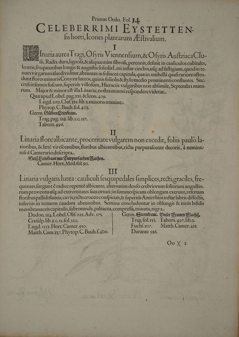 CELEBERRIMI EYSTETTEN: (is horti; Icones plantarum AE ftüvalium. eie [naria aurca L rae, O [yris Viennenfium,&amp; O [yris AuftriacaCla- —.. fii. Radix duralignofa,&amp;aliquantüm fibrofa, perennis, definit in cauliculos cubitales, lentos,frequentibus longis &amp; anguftis foliolisLini inftar cinctosufq; ad faftigium, quodin te- nues virgarumalasdividitur;abeuntes infoliacca capitula, quain umbellá quafirariore often- duntfloresminoris Conyzelutcos, quinis foliolis &amp; ftylo medio prominenticonftantes. Suc- crefcitfemen fufcum, fuperiis villofum, Hieraciis vulgaribus non abfimile,Septembri matu- rum. Major&amp; minoreft illa Linaria;noftraminori refpondere videtur. Qua apud Lobcl. pag,.225. &amp;Icon. 409. | Lugd.us2.Cluf 325.lib.s.minorisnomine;, . Phytop. C. Bauh.fol. 405. Germ. Giüloen (Ceimfraut. lrag.pag, 558. lib.r.c. uz. Tabern.496. LER II | 2 fs Linaria lorealbicante, proceritate vulgarem non excedit, folis paulo la- Goribus, &amp; laté virefcenabus, floribus albicantibus, rictu purpurafcente decoris, à nemine nifià Camerariodefcripta. — | : Seis (Geinfrauc mic SDurpurfarben Sachen, Camer.Hort.Med.fol.9o. - : | III | Linaria vulgaris ]utea : cauliculi fesquipedales fimplices,recti,eraciles, fre- quentes;furgunt é radice repenté albicante, alternatim denío crebriorum foliorum anguftio- rum proventuufq;ad extremitates fuasornati;infummofpicam oblongam exerunt,refertam floribuspallidoluteis, cavis;ridtu croceo confpicuis,&amp; füperiüs Antirrhiniinftar labris diflectis, inferius in tenuem caudam abeuntibus. Semina concluduntur in oblongis &amp; intus bifidis membranaceiscapitulis,fubrotunda, paleacea, comprefla, minuta, nigra. Dodon.184. Lobel. Obf 222. Adv. 175. | Germ. Gernfrauc. 20nfer 9Erauen S£ (ach, Cocfálp.lib.8.c.51.fol. 550. 3 | Trag.fol15s. labern.497.lib.2. Lugd. 1532. Hort. Camer.930. Fuchf2o7z. | Matth.Camer.418. Matth.Cam.857. Phytop. C. Bauh.f. 400. | Durante 526. Qo X*4