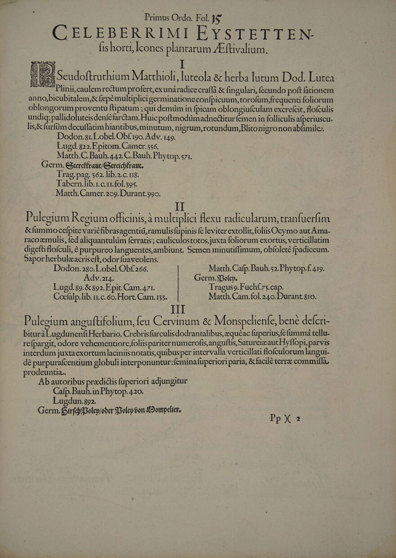 CELEBERRIMI EYSTETTEN: (is horti, Icones plantarum AE füvalium. ;:&amp;« Seudoftruthium Matthioli, luteola &amp; herba lutam Dod. Lutea 7 Plinii,caulem rectum profert, exunáradice craffá &amp; fin gulari, fccundo poft fationem anno,bicubitalem,&amp; fepé multiplici germinationeconfpicuum, torofum,frequena foliorum oblongorum proventu ftipatum ; qui demüm in fpicam oblongiufculam excrecit, flofculis undi; pallidoluteisdenféfar&amp;tam. Huic poftmodümadnedtiturfemen in folliculis afperiuscu- lis,&amp; furfüm decuffatim hiantibus, minutum, ni grum,rotundum,Blitonigrononabfimile- Dodon.81. Lobel. Obf roo. Adv. 149. Lugd. 822. Epitom. Camer. 556. Matth.C. Bauh. 442. C. Bauh. Phytop.s71. Germ. Gercfraug Geaeichfrauc. Irag.pag. s62. lib.2.c.18. labern.lib.1.c.11.fol. 395. Matth. Camer.209. Durant. 990. p ulegium Regium officinis, à muluplici flexu radicularum, tranfuerfim &amp;fummocefpite varié fibrasagentiü, ramulis füpinis fc leviterextollit; foliis Ocymo aut Ama. racoaemulis, fed aliquantulüm ferratis ; cauliculostotos,juxta foliorum exortus, verticillatim digeftiflofculi, é purpureo languentes,ambiunt. Semen minutiffimum, obfoleté fpadiceum. vapor herbulzacriseft, odor fuaveolens. Matth. Cam.fol. 240. Durant. 810. Dodon.28o. Lobel. Obf£266. Matth. Cafp. Dauh.52. Phytop.f. 419. Adv.214. | Germ.Solt». | L.ugd.89. &amp; 892. Epit. Cam. 471. | Traguso. Fuchí75.cap. Cocfalp.lib.11.c. 60. Hort. Cam. 155. Puleeium aneuftifolium, feu Cervinum &amp; Monspcelienfe, bene defcri- biturà LugdunenfiHerbario. Crebrisfurculis dodrantalibus,zquéac fuperiusfe fümmdá tellu- refpargit, odore vchementiorc foliis pariter numerofis,angufüs, Satureicaut Hyflopi, parvis interdum juxta exortum laciniisnotatis, quibus per intervalla verticillati flofculorum langui- dé purpurafcentium globuli interponuntur:feminafüperiori paria, &amp;facilé terrz commiffa, prodeuntia.. Ab autoribus pradictis fuperiori adjungitur Calp. Bauh.in Phytop. 420. Lugdun.892. Germ. Dirfdspelepjober Sole» $on CO omprlicr, P»y a P