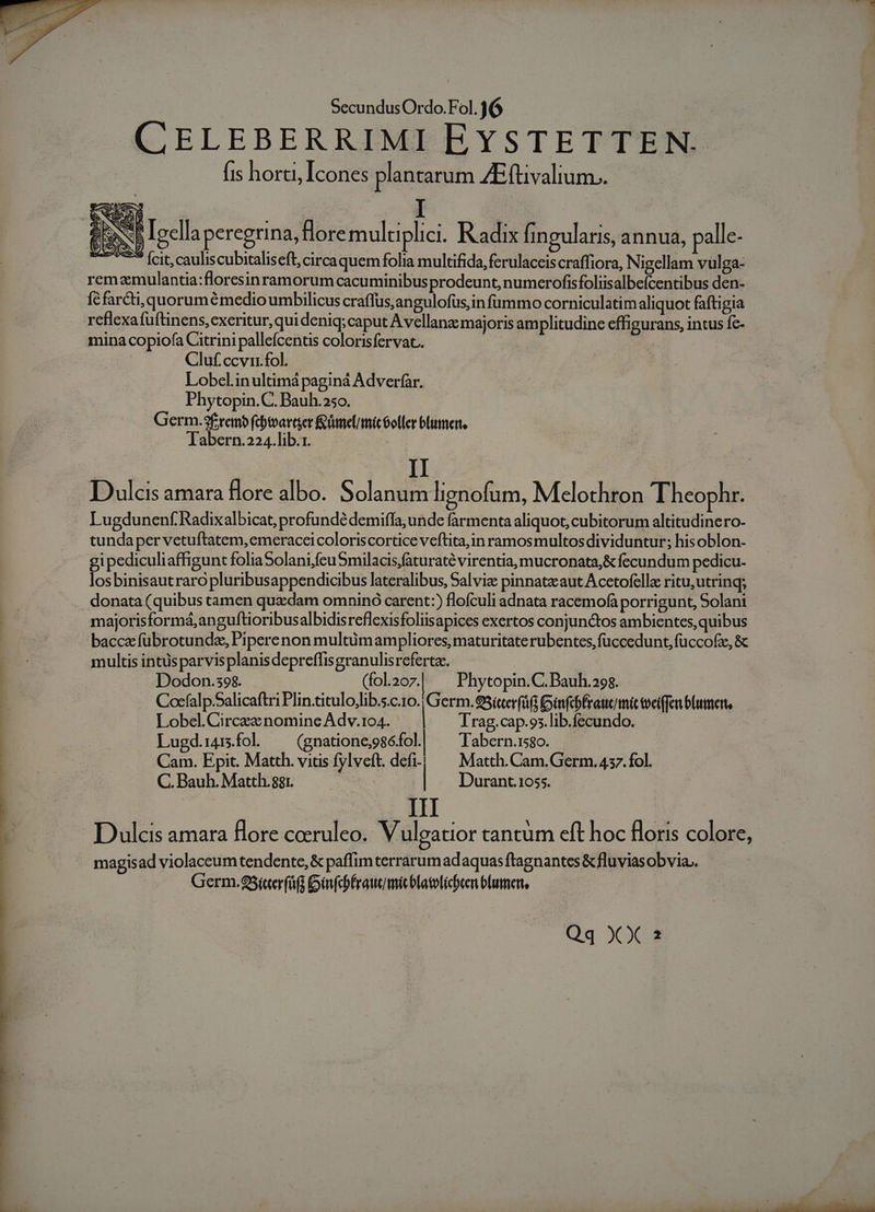 CELEBERRIMI EYSTETTEN. fis horti, Icones plantarum ZEftivalium.. NS Ieclla eregrina, floremultuplici. Radix (ingularis, annua, palle- 7 fat,cauliscubitaliseft, circaquemfolia multifida, ferulaceiscraffiora, Nigellam vulga- remamulantia:floresinramorum cacuminibus prodeunt, numerofisfoliisalbefcentibus den- ícfarcti,quorumémedio umbilicus craffus, angulofus,in fummo corniculatim aliquot faftigia reflexa füftinens,exeritur, qui deniq; caput A vellana: majoris amplitudine effigurans, intus fc- mina copiofa Citrini pallefcentis colorisfervat. | Cluf. ccv. fol. Lobcl.inultimá paginá Adverfar. Phytopin.C. Bauh.25o. Germ.2f£tembfcbtvattger &amp;ümel/tmi óoller blumer Tabern.224.lib.1. | II Dulcis amara Hore albo. Solanum lignofum, Mcelothron Theophr. Lugdunenf Radixalbicat, profundé demiffa, unde farmenta aliquot, cubitorum altitudinero- tundaper vetuftatem, emeracceicoloriscortice veftita,in ramosmultos dividuntur; his oblon- gi pediculiaffigunt foliaSolanifeuSmilacis;faturaté virentia, mucronata,&amp; fecundum pedicu- losbinisautraro pluribusappendicibus lateralibus, Salvia pinnatzaut Acetofella ritu,utrinq; donata (quibus tamen quzdam omninó carent:) floículi adnata racemofà porrigunt, Solani majorisformá,anguftioribusalbidisreflexisfoliisapices exertos conjunctos ambientes, quibus bacca fubrotundz, Pipere non multümampliores, maturitate rubentes,füccedunt, füccofz, &amp; multis intüsparvis planis depreffisgranulisreferta. Dodon.98. (fol2oz| ^ Phytopin.C.Bauh.298. Cocfalp.Salicaftri Plin.titulo,lib.s.c.1o.| Germ. 95ícerfüfi Ginfcbfraucimic toeffen blumert, Lobel. Circzz nomine Adv.104. | Trag.cap.os.lib.fecundo. Lugd.1415.fol. (gnatione;9séfol. Tabern.is8o. Cam. Epit. Matth. vitis fylveft. defi-|.— Matth. Cam. Germ. 457. fol. C. Bauh. Matth.ggr. | Durant.1055. III | Dulcis amara flore coeruleo. V ulgatior tantum eft hoc floris colore, magisad violaceum tendente, &amp; paffim terrarum adaquas ftagnantes &amp; fluviasobvia.. Germ.95ícerfáfi Dinfchbfraucmitblatoticten blumen, Qq XX 2