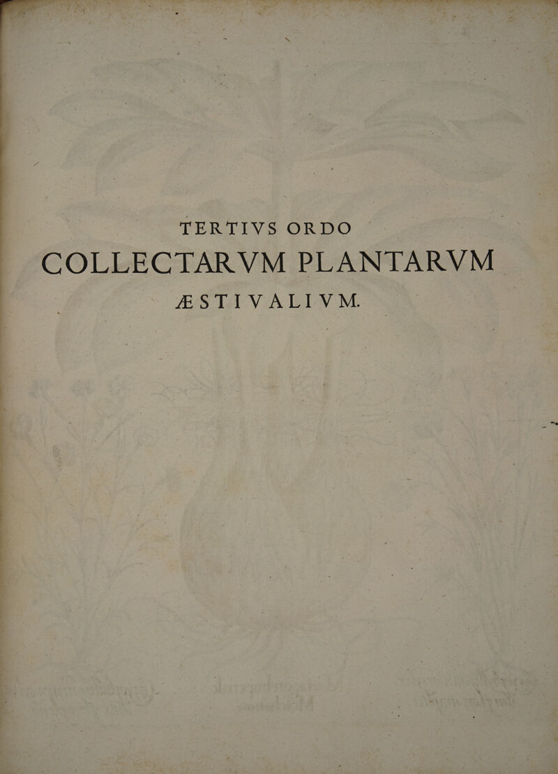 K k^ A MAS S * y A TU.» Was € ? ac Op a ss. ntt 7  Y E | *» s CE - 3 * x - (to : ' ! ; uu ! - D a LÀ i ta ] n ^ * ' - EN à jr x : D TERTIVS ORDO | |J. COLLECTARVM PLANTA ASTA VALDVM.