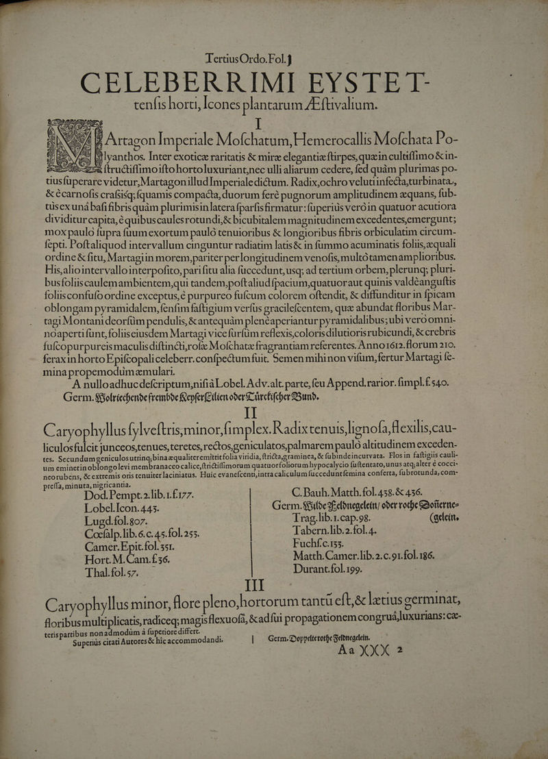 pon v Nu j : CELEBERRIMI EYSTE T- tenfis horti, Icones plantarum AEftvalium. NC AL 7. Artagon Imperiale Moflchatum, Hemerocallis Mofchata Po- P Eee Bj lyanthos. Inter exotic raritatis &amp; mirz elegantiefürpes,que incultiffimo &amp;in- RE an-t7w [tructiffimoiftohortoluxuriant;nec ulli aliarum cedere, fcd quàm plurimas po- iustuperare videtur, Martagonillud Imperiale dictum. Radix,ochro velutiinfecta;turbinata., t &amp; écarnofis crafsisq;quamis compacta, duorum feré pugnorum amplitudinem a:quans, fub- tüsexunábafifibrisquàm plurimisinlatera fparfis firmatur: fuperius veróin quatuor acutiora dividiturcapita,é quibuscaulesrotundi,&amp; bicubitalem magnitudinem excedentes,emergunt; mox paulo fupra fuum exortum pauló tenuioribus &amp; longioribus fibris orbiculatim circum- fepti. Poftaliquod intervallum cinguntur radiatim latis&amp; in fümmo acuminatis foliis, aequali ordine &amp; fitu, Martagiin morem,pariter perlongitudinem venofis, multótamenamplioribus. His,aliointervallointerpofito, parifitu alia füccedunt, usq; ad tertium orbem, plerunq; pluri- busfoliiscaulem ambientemgqui tandem,poftaliudfpacium,quatuoraut quinis valdéan guftis foliisconfufo ordine exceptus,é purpureo fufcum colorem oftendit, &amp; diffunditur in fpicam oblongam pyramidalem, fenfim faftigium verfus gracilefcentem, qua abundat floribus Mar- tagi Montanideorfüm pendulis, &amp; antequàm plenéaperiantur pyramidalibus; ubi veroomni- noapert funt, foliiseiusdem Martagi vice fürfüm reflexis.colorisdilutiorisrubicundi, &amp; crebris fufcopurpureis maculisdiftin&amp;tirofze Mofchata fragrantiam referentes. Anno161.florum 210. feraxin horto Epifcopaliceleberr.confpectumfuit. Semenmihinon vifum,fertur Martag; fe- mina propemodum aemulari. — Anulloadhucdefcriptum;nifià Lobel. Adv.alc parte, feu Append.rarior. fimpl. f.540. Germ. $ofrícdfenbe frembbe &amp;epfer(eilien ober üwcfifcber Sun. C aryophyllus ylveftrisyminor fimplex. Radix tenuis lignofa,Hexilis,cau- liculosfulcit junceos;tenues, teretes, rectosgeniculatospalmarem paulo altitudinem exceden- tes. Secundumgeniculosutrinq;binazqualiteremittitfolia viridia, ftricta,gramoinea, &amp; fübindeincurvata. Flosin faftigiis cauli- um eminetinoblongolevi membranaceo calice,ftri&amp;iffimorum quatuorfoliorum hypocalycio fu(tentato, &amp; extremis oris tenuiterlaciniatus. Huic evancfcenti;intra caliculum fucceduntfemina conferta, fubrotunda, com- C. Bauh. Matth. fol. 458. &amp; 456. Germ.$fjiloe 2f elenegelcir ober roce GaBotiermtee unus atq,alter é cocci- ncorubens, preffa, minuta, nigricanua. Dod.Pempt.».lib.r.£177. Lobel.Icon. 445. Lugd.fol.8o7. | Trag.lib.rcap.98. - (aelcit, itg dm | Tio amer. Epic tol. 351. uchíf.c.155. | | Hort. M. OR E | Matth. Camer.lib. 2. c. 91.fol. 186. i | Durant fol.199. Thal.fol.57. | ITE Carvophyllus minor, flore pleno,hortorum cantu eft,&amp; letius germinat, floribusmultiplicatis,radiceq; magisflexuofa, &amp;ad fui propagationem congruá,luxurians: ca- ibus nonadmodüm à fuperiore differt. teris part im : Superiüs citati Autores&amp; hic accommodandi. | Germ. oppeltetotüe Seonegdein. Aa XXX 2