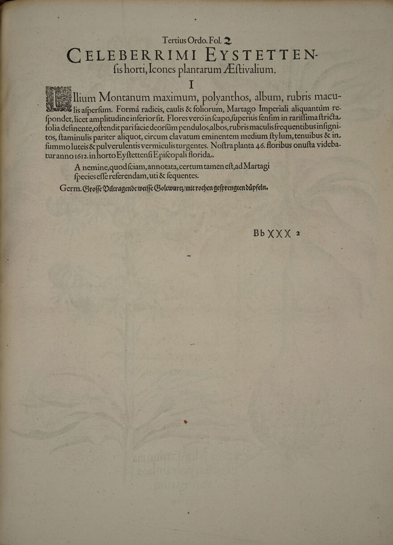 E Tertius Ordo. Fol. 2, | CELEBERRIMI EYSTETTEN- fis horti, Icones plantarum AEftvalium. I