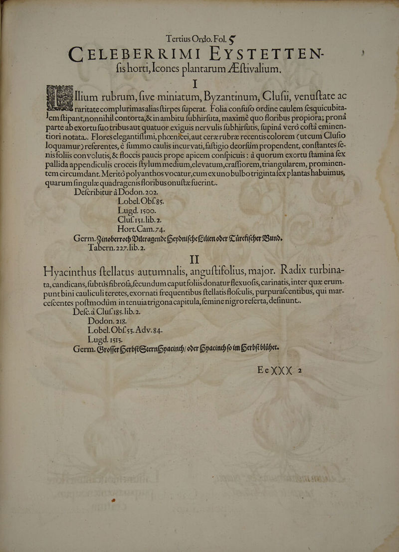 CELEBERRIMI EYSTETTEN- fis horti, Icones plantarum ZEftvalium. | I s esIlium rubrum, [ive miniatum, Byzantinum, Clufri, venuftate ac ) »va696 raritatecomplurimasaliasftirpes fuperat. Folia confufo ordine caulem fesquicubita- -. 'emftipantjnonnihil contorta;&amp;inambitu fübhirfuüta, maximé quo floribus propiora; proná parte abexortufuotribusaut quatuor exiguis nervulis fubhirfutis, fupiná veró coftà eminen- tiori notata.. Floreselegantiffimi, phoenicei;aut cera. rübrz recentiscolorem cutcum Clufio loquamur) referentes, é fummo caulis incurvati,faftigio deorfüm propendent, conftantes fc- nisfoliis convolutis, &amp; floccis paucis prope apicem confpicuis : à quorum exortu ftamina fex pallida appendiculis croceis ftylum medium,elevatum,craffiorem,triangularem, prominen- tem circumdant. Meritó polyanthos vocatur,cum exuno bulbo trigintaíex plantas habuimus, quarum fingula quadragenis floribusonuftz fuerint. Detcribitur à Dodon.202. | Lobel. Obf. 85. Lugd. 1500. | | | Cluf isr.lib.2. i Hort.Cam.74. Germ.Sítoberrod 2Dilcragenócoerenifcbe (Silien ober &amp;Uwefifcber Q3umo, Tabern.227.lib.2. Hyacinthus ftellatus autumnalis, an euftifoltus, major. Radix turbina- ta,candicans, fübtüs fibrofa/fecundum caputfoliis donatur flexuofis, carinatis, inter qua erum- puntbini cauliculiteretes, exornati frequentibus ftellausflofculis, purpurafcentibus, qui mar- ceícentes poftmodum in tenuiatrigona capitula, femine nigro referta, definunt.. Defc.a Cluf 185.lib.2. | Dodon. 21$. Lobel. Obf; 5s. Adv.84. Lugd. 1515. Germ. Giteffc GarbftGSiermppacid ober [ovacind) fo im erbft bhibet.