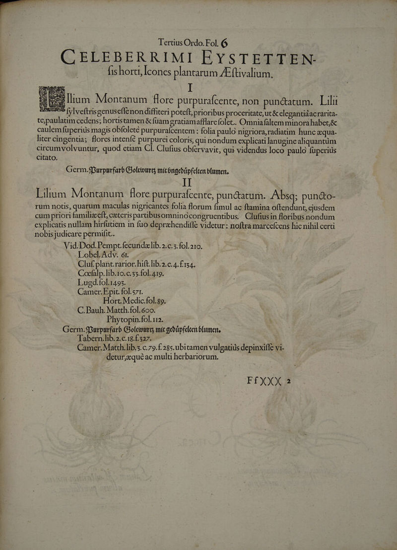 CELEBERRIMI EYSTETTEN-- fishorti, [cones plantarum AEfüivalium. «s lium Montanum flore purpurafcente, non pun&amp;tatum. Lili ees fyIveftrisgenus effcnon diffiteri poteft, prioribus proceritate, ut&amp; elegantidacrarita- tepaulatim cedens; hortistamen &amp; füam gratiamafflarefolet.. Omnia fàltem minora habet,&amp; caulem füperius magis obfoleté purpurafcentem : folia paulo nigriora,radiatim hunc zequa- liter cingentia; flores intenfíé purpurci coloris, qui nondum explicati lanugine aliquantüm circumvolvuntur, quod etiam CI. Clufius obfervavit, qui videndus loco paulo fuperius citato. ! | Germ.Spurpurfarb Gsolctourts micóngebripfelten blumert, i II | Lilium Montanum fore purpuraícente, punctatum. Absa; puncto- rum notis, quarum maculas nigricantes folia florum fimul ac ftamina oftendunt, ejusdem cum priori familizceft, ceteris parübusomninocongruentibus. Clufiusin floribus nondum explicatis nullam hirfütiem in fuo deprahendifle videtur: noftra marcefcens hic nihil certi nobis judicare permifit.. | | Vid.Dod.Pempt fecunda lib. 2.c.5.fol. 210. - Lobel. Adv. 6i. Cluf plant.rarior. hift. lib.2.c.4.£154.- .. Coefalp.lib.1o.c.55.fol. 419. Lugd.fol.1495. Camcer. Epit. fol.s71. Hort. Medic.fol. 89. C. Bauh. Matth.fol. 600. Phytopin.fol. 112. Germ.$Burpurfarb Giolcourts mit aeoüpfelten bfumen, Tabern.lib.2.c.18.£. 327. | Camer. Matth. lib.s. c. 79. 285. ubitamen vulgatius depinxiffe vi- - detur,qué ac mult herbariorum. | F£FXXX 2