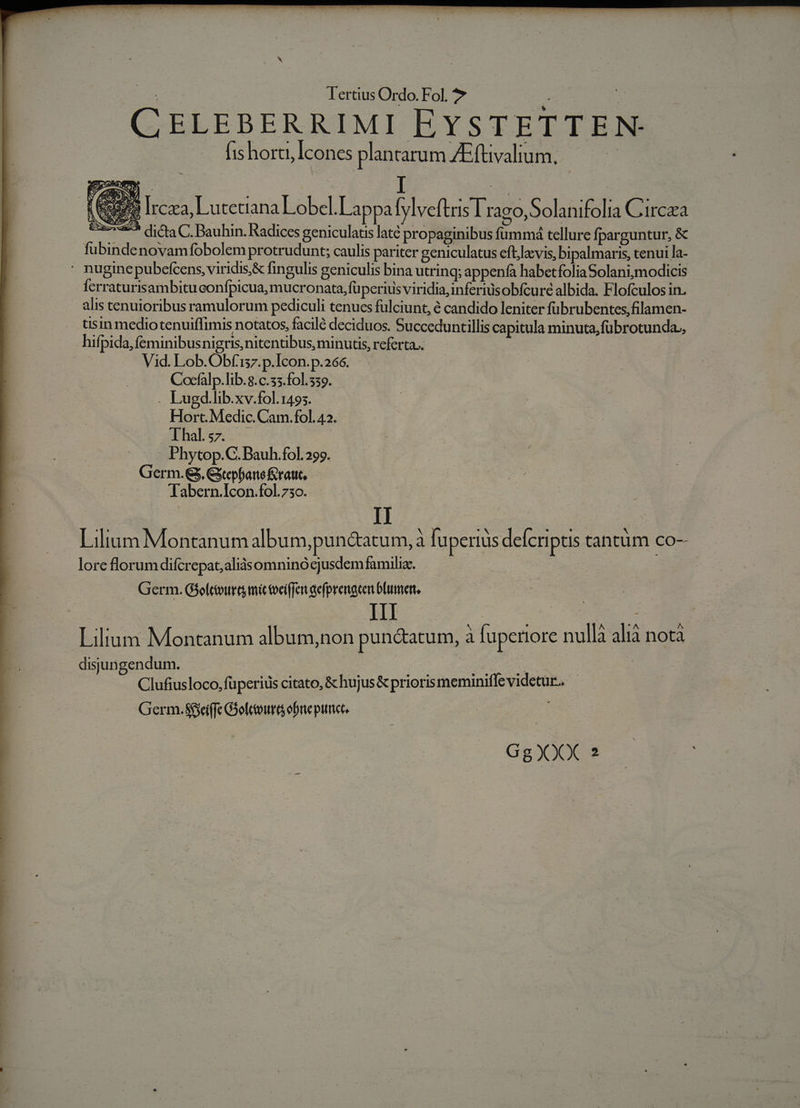 $7, X Tertius Ordo. Fol. * CELEBERRIMI EYSTETTEN: (ishorti, Icones plantarum ZEftvalium, Sed) à : I l 7 XC e ; J MS D . . NRI Ircza, Lutetiana Lobel.Lappa ylveftris Trago,Solanifolia Circza d  e dicta C. Bauhin. Radices geniculatis laté propaginibus fummá tellure fparguntur, &amp; fubindenovamfobolem protrudunt; caulis pariter geniculatus eftlacvis, bipalmaris, tenui la- ferraturisambituconfpicua, mucronata, füperius viridia, inferiisobfcureé albida. Flofculos in. alis tenuioribus ramulorum pediculi tenucs fulciunt, é candido leniter fubrubentes,filamen- tisin mediotenuiffimis notatos, facilé deciduos. Succeduntillis capitula minuta, fübrotunda., hifpida, feminibus nigris, nitentibus, minutis, referta... | Vid. Lob.Obf'57. p.Icon. p.266. Cocfalp.lib. 8.c.33.f0l.559. . Lugd.lib.xv.fol.1495. Hort. Medic. Cam. fol. 42. lhalsz. Phytop.C. Bauh.fol. 299. Germ.G. Gepfane rau, Tabern.lIcon.fol. 730. 2i LC . . . v Lilium Montanum album, pun&amp;atum, à fuperiüs defcriptis tantüm co- lore florumdifcrepat;aliás omnino cjusdem famili. | Germ. G$elcioura mic toeiffan aefprenacen blumer, III Lilium Montanum album,non pun&amp;atum, à fuperiore nulla alià notà disjungendum. : : | CON C Clufiusloco, fuperius citato, &amp;hujus&amp; prioris meminiffe videtur. Germ.$88eiffe Colour obrte putttct. | GgXXX 2