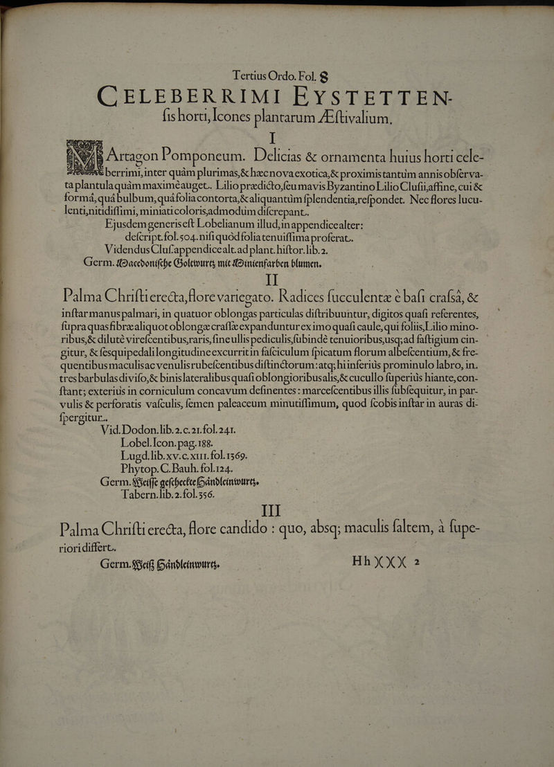 CELEBERRIMI EYSTETTEN (is horti, Icones plantarum Ac füvalium. Pi Artagon l'omponeum. Delicias &amp; ornamenta huius horti cele- ESO ETQU: ORAE inter quàm plurimas,&amp; hecnovaexotica,&amp; proximistantum annisobferva- ta TNEHETA quàm maximeauget. Lilio pradicto,feu mavis Byzantino Lilio Clufiiaffine, cui &amp; formá,quábulbum ; quáfolia. contorta,&amp;aliquantüm fplendentia;refpondet. Nec 3. ]ucu- lenti,nitidiffimi, miniaticolorisaadmodum difcrepant.. Ejusdemgeneriseft Lobelianum illud,in appendicealter: | | defeript. fol.5o4.nifiquodfoliatenuiffima proferat. VidendusCluf'appendicealt.ad planc. hiftor.lib.2. Germ. fGacconifce Golctours mi Koinienfarben blumen, I Palma Chrftiereda, dos vaticgato. IAadices fucculentz e baft crafsa, &amp; inftar manus palmari, in quatuor oblongas particulas diftribuuntur, digitos quafi referentes, fupraquasfibre aliquot oblongzcraflx expanduntur eximoquafi iex qui foliis;L ilio mino- ribus&amp; diluté vircfcentibus;raris fineullis pediculisfubindé tenuioribus;usq;ad faftigium cin- gitur, &amp;fesquipedalilongitudineexcurritin fafciculum fpicatum florum albefcentium, &amp; fre- quentibus maculis E nho nbus difündtorum:atq; hiinferius prominulo labro, in. tresbarbulasdivifo,&amp; binislateralibusquafioblongioribusalis,&amp; cucullo fuperius hiante,con- ftant; exterius in corniculum concavum definentes : marcefcentibus illis fubfequitur, i In par- vulis &amp; perforatis vafculis, fcmen paleaceum minutiflimum, quod fcobisinftar in auras di- fpergitur.. Vid. Dodon.lib.2.c.21.fol. 241. Lobel.Icon.pag.188. Lugd.lib.xv.c.xir. fol. 1369. Phytop.C. Bauh. fol.124. Germ. 3fciffe gefcbecfteánbleintottrt, Tabern.lib.2.f0l.356. III Palma Cox erecta, flore candido : quo, absq; maculis faltem, à à fupe- rioridiffert. Germ.sfieifi oánbleivura. HhXXX ?