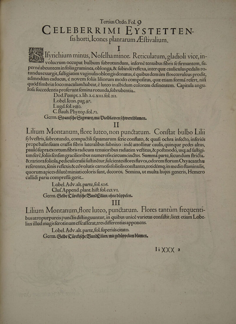 CELEBERRIMI EYSTETTEN- fis horti, [cones plantarum ZEfüvalium, Sess Iyrichium minus, Nofelha minor. Reticulatum, oladioli vice, 1n- 932-55! volucrum occupat bulbum fübrotundum, inferné tenuibus fibris fe firmantem, fu- perneabeunteminfoliagraminea, oblonga, &amp; fübindéreflexa,inter qua cauliculus pedalis ro- tundusexurgit,faftigiatiim vaginulisoblongisdonatus,é quibusdemüm floscocruleus prodit, admodum caducus, é novem foliis liliorum modo compofitus, quz etiam formá refert, nifi quód fimbrizx loco maculam habeat,e luteo inalbidum colorem definentem. Capitula angu- lofa füccedentia proferuntíeminarotunda,fübrubentia.. Dod.Pempt.».lib.2.c.xii.fol. 211. Lobel.Icon.pag.97. Lugd.fol:s$o. . C. Dauh. Phytop.fol.71. Germ. Gpanifcbe Gigtourt micDiefblatoen fcbtverclbtumen. Lilium Montanum, flore luteo, non pun&amp;atum. Conftat bulbo Lili: fylveftris, fubrotundo, compadtli fquamarum ferie conflato, &amp; quafi ochra infecto, inferius propebafinfuam craflis fibris lateralibus fübnixo : indé attollitur caulis, quinque pedcs altus, paulófüpraexortum fibrisradicum tenuioribus radiatim veftitus, &amp; poftmodo, usq;ad faftigi- umferé,;folusíenfim gracilioribus numerofiscircumcinctus. Summá parte, fecundum ftricta. &amp; rariorafoliola,pediculicraísifuftinétur.fulcientesfloresflavos,odorem florum Oxyacantha: quorumapicesdiluté miniati coloris funt, decoros. Semina, ut multa hujus generis, Hemero callidi paria comprefta gerit. Lobel. Adv.alt.parte,fol.506. Cluf Append. plant.hift.fol.ccrvr. Germ. G$elbe Sürcfifche SSunb(Eilienobneonppelen. INA c5 : Lilium Montanum,Hore luteo, pun&amp;atum. Flores tantüm frequenti- busatropurpureis punctisdifün guuntur, in quibus unicé varietas confifüt;licet etiam Lobe- liusillud magisferotinum effeaflerat;tresdifferenuasapponens. Lobel. Adv.alt. parte,fol.füperiiscitato. Germ. Gelbe crcfifcpe QSunb(Eilienzmicaebiippeleen Plume,