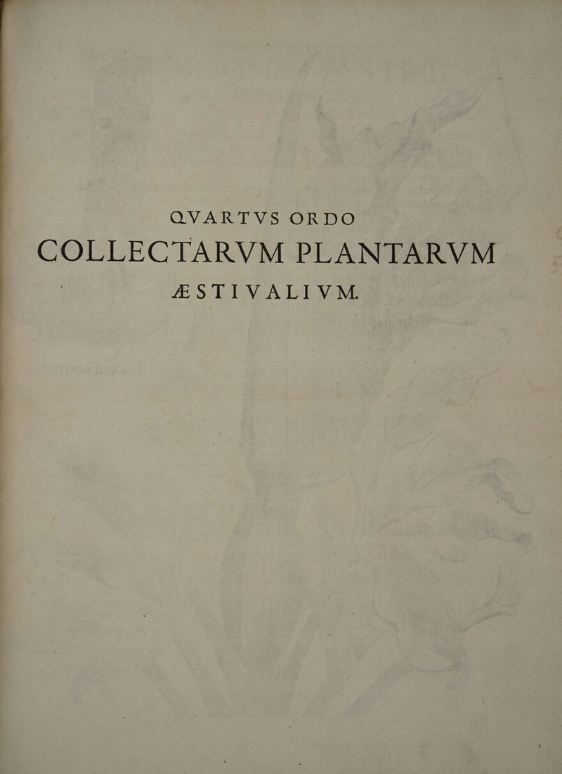 QVARTVS ORDO PLC CIA PLANTARVM £ESTIVALIVM.