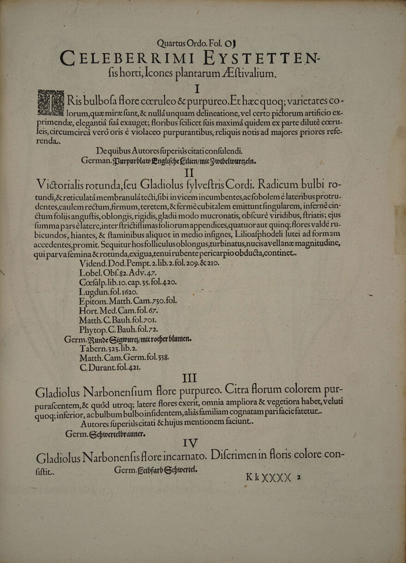 J GELEBERRIMI EYSTETTEN - fishort, Icones plantarum ZEftivalium. S55::538 lorum,que mira funt, &amp; nulléunquam delineatione, vel certo pictorum artificio ex- primendz, eleganuá fuá exauget; floribus fcilicet fuis maximá quidem ex parte diluté cocru- renda. | Dequibus Autoresfüuperiüscitati confülendi. German.purpurblato f&amp;uglifcbe (eilien mic tbelouraseln. | : II | Vi&amp;oralis rotunda,feu Gladiolus [ylveftris Cordi. Radicum bulbi ro- tundi,&amp; reticulatàmembranulátecti,fibi invicem incumbentesacfobolemé lateribus protru- dentes,caulemrectum,firmum,teretem, &amp; fermécubitalem emittuntfingularem, inferné cin- 2: &amp;umfoliisanguftis, oblongis, rigidis, gladii modo mucronatis, obícuré viridibus, ftriatis; ejus 2 fumma parsélatere,inter ftrictiflimasfoliorumappendicesquatuoraut quinq; flores valdé ru- bicundos, hiantes, &amp; ftaminibus aliquot in medio infignes, Lilioafphodeli lutei ad formam b accedentes promit. Sequitur hosfolliculusoblon gusturbinatusnucisavellanz magnitudine, qui parvafemina &amp; rotunda,exigua,tenui rubente pericarpio obduda;continec. Vidend.Dod.Pempt.2.lib.2.fol. 209. &amp; 210. Lobel. Obf. 82. Adv.47. Cocfalp.lib.1o. cap. 5. fol.420..- Lugdun.fol. 1620. uso. uin | Epitom. Matth. Cam.750.fol. i 2 Hort. Med.Cam.fol.67. Matth.C. Bauh.fol. 701. Phytop.C. Bauh.fol.72. Germ.9$m$e Gyigtourcmicrodier bluert, Tabern.s25.lib.2. Matth. Cam.Germ.fol.558. C. Durant.fol. 421. III : Gladiolus Narbonenfium flore purpureo. Citra florum colorem pur- 4 purafcentem,&amp; quód utroq; latere flores exerit, omnia ampliora &amp; vegetiora habet, veluti quoq; inferior, acbulbum bulboinfidentem,aliàsfamiliam cognatam parifaciefatetur.. Autores füperiuscitati &amp;hujus mentionem faciunt. Germ. Gtvereelbrauner, ! Gladiolus Narbonenfis lore incarnato. Diferimenin floris colore con fiftit.. Germ. (Ecibfarb &amp;btoertef. |