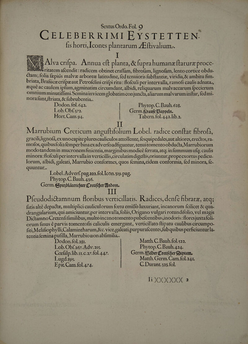 CELEBERRIMI EYSTETTEN. Íis horti, Icones plantarum ZEftivalium.. SN ZA: Alva crifpa. Annua eft planta, &amp; fupra humanzíltaturz proce- 5605588 ritatem afcendit: radicem obtinet craffàm, fibrofam, lignofam, lento cortice obdu- ctam; folia faepius malvz arbores latitudine, fed tenuioris fübftantiz, viridia, &amp; ambitu fim- briata, Brafsicae crifpicaut Petrofclini crifpi ritu : flofculi per intervalla, ramofi caulis adnata,, aque ac caulem ipfüm,agminatim circumdant, albidi, reliquarum malvacearum fpecicrum omnium minutüiflimi.Seminainvicem globatim conjuncta, aliarum malvaruminftar, fed mi. noraífuntjftriata, &amp; fubrubentia.. IN, | Dodon.fol.642. Phytop. C. Bauh. 628. Lob. Obf 372. | — Germ.fraufcfDappefit. Hort. Cam.94. | Tabern.fol. 442.lib.2. Marrubium Creticum anguftifolium Lobcel. radice conílat fibrof, gracililignoía, ex uno capite plurescauliculos attollente, fesquipedalesaut altiores, erectos, ra- mofos,quibusfolia fem perbinaexadverfoadfiguntur, tenuitomento obducta, Marrubiorum modotandemin mucronemfinientia, marginibus modicé ferrata,atq; infummum ufq; caulis minora:flofculiperintervallain verticillis,circulatim digeftis,oriuntur,prope exortus pedicu- lorum, albidi, galeati, Marrubio conformes, quos femina, cidem conformia, fed minora, fc- quuntur. - | Lobel. Adverf pag.222.fol. Icón.s19. pag. Phytop.C. Bauh. 456. Germ. &amp;picbláterichter Cretifter 9l moon. III Pfeudodi&amp;tamnum floribus verticillaas. Radices, denfe hbratz, atq; fatis alté depactz, mulaplici cauliculorum foctu emiflo luxuriant, incanorum fcilicet &amp; qua- dran gularium,qui amiciuntur,per intervalla,foliis, Origano vulgari rotundifolio, vel magis DictamnoCretenfi fimilibus, multóincanotomento pubefcentibusnodoris:floresjuxtafoli- orum finus é parvis tomentofis caliculis emergunt, verticillato ftipatu caulibus circumpo- fit; Melifsophylli,Calamintharum,&amp;c. vice;galeati;purpuraícentes,fub quibus perficiuntur la- tentia femina pufilla, Marrubio nonabfimilia.. Dodon.fol.28r. | Matth. C. Bauh.fol.522. Lob.Obf.267. Adv. 21s. Phytop.C. Bauh. 424. Cocfalp.lib.11.c.27.fol. 4147. | Germ.88loer £xetifcber GBiptatt, Lugd.s9s. . 2] Matth. Germ. Cam.fol.241. Epic. Cam.fol. 474. | C. Durant. 525.fol.