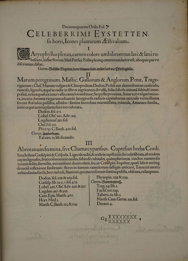 CELEBERRIMI EYSTETTEN- fis horti, Icones plantarum ZEftivalium.. i99 Aryophyllusplenuscarneo colore umbilicotenuslat? &amp; late ru- Rr; eue befcens,inftarflorum MaliPerfici. Folisplerisq;caterorumlatior eft, alioquin parvo difcrimine diftat. | Germ. Gefüllte Yeaeleim/berer blumen f(inoc an eer farb toic SDfirfatabliüe, II Marum peregrinum. Maftic. Gallorum &amp; Anglorum Penz, T rago- riganum1.Cluf. Marum vulgare &amp; Clinopodium Dodon. Pedali aut altiorefruticatcauliculo, ramofo,lignofo,zquéacradix in fibras nigricantes divulfa, folia fobole minutá fubindé inter- pofitá, ortuzqualiexintervallisramulosambiunt,Serpyllo proxima, Amaraco vulgarimino- ra,incana;fümma virgarumadnatain lanuginofis radiaus capitulorum utriculis verticillatim ferunt flofculos pufillos, albidos : femina füccedunt minutifftma, rotunda, Amaraco fimilia., initiozquéactota planta fuaviter odorata. | | Dodon.fol.271. Lobel. Obf 265. Adv. 215. Lugdunenf.885.fol. Cluf.fol.555. . Phytop.C. Bauh. 422.fol. Germ.9ImberÉrauc. Tabern.ss.lib.fecundo. III a Abrotanumfemina, five Chamzc pariísus. Cuprefsus herba Cordi. Sanctolina Cocfalpini &amp; Crifpula. Lignofaradix,&amp; crebriscapillaceis furculisfibrata,ab eodem capitelignofos, fruticofosemittitcaules, fübindé cubitales, quàmplurimos, cinctos numerofis incanisfoliis,fuürrectis, minutifsimé denticulatis, feu;ut Cocfalpin. loquitur, quafi labris utrinq; finuofi reflexione fimbriatis : flores in fummis ramulorum faftigis emicant, l'anaceti more orbiculatim farcti, breviufculi,ftaminei,qui marcefcentes femina pufilla, obfcura, relinquunt. Dodon. fol.268.&amp;269.fol. Phytopin. 228.&amp; 229. Cocfalp.lib.12. c. 7.fol. 479. Germ. GSarceneoprefj. Lobel. 436. Obf, Adv.336.&amp; 537. | Trag.24.lib.r. Lugdun. 937. &amp; 958. Fuchf'556. cap. Cam.Epit. Matth. 460. Tabern.6».lib.1. Hort. Med.r. Matth.Cam. Germ.255.fol. Matth. C. Bauh.515. &amp; 514. | | Durant.4. XOOOOO0€X C833