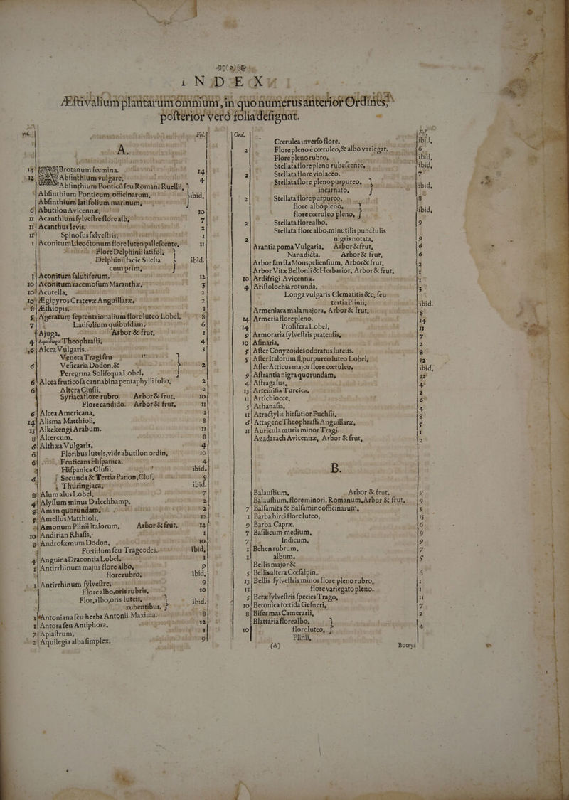 ee. |^ $ (o9 S «« i NADEGKM I .» : Aftivalium aiplsntard nomm, in qi ORne sditehrO Ri pefteior velot liadefignat. VenetaTragifeu 70000070030 ; | AflerItalorum flpurpureoluteo Lobcl, MA   p. da Rue j seil Ord, Pj ' | UC TEMA ' . Coruleainverfoflore, bo lii, -— » A. Florepleno écoeruleo,&amp; albo io^ mes ilias oss í d : POM vu tr ima spiees: a Floreplenorubro, »  M. zie. e£ d r: (Mol o sic erat a : Stellataflorepleno ru e ceüte, Bes , ibid, atus zd GUAV R Apa al ne] MAPPA aluM ds Stellata flore violacéo. - 7 MD LE p (9 SANTA y - ; IM L 4 1 ! | am iB E z i, blinthium Pontica feu Roman, stia j ! Stellataflore PERO PIEHISEN j 551 nuiiioig n^ E Zz |Abfinthium Ponticum. ofiinarum, ^^ — ^ *ibid, :  Abfinthium latifolium — Tutus 4 l | 3 pen Succ re a Ql penne l 6| AbutilonAvicennz, - Io|- |  B». : ibid, egt e oreceruleo pleno, f... - b Acanthium fylveftreflore: ilb; tho cumst z| Srellata Hlorezlbo | 9 n|Acanthuslevis; — ^ d aor edge E Stellata florealbo;minutilispunctulis | P 1 Spinofus (slveftris, tolteumla eusui» el I E 2 nigris notata, 9 1 | AconitumLieoQtonum flore luteo pallefcente, ^ nm En omaVulgaria, Arbor&amp;frut ó di» v 0005 »FloreDelphiniilatifol, 1 | P laria dicta. dk uu teen iut é e. ah | . Delphiniifacie Silefia | i ibid.| |ArborfanAaMonspclcnfium, AxborBeftut. 2 2 e in p gap k Arbor Vitz Bellonii &amp; Herbarior, Arbor&amp; frut, I i Acotitüm falutiferum. ^00 aC Io | Ardifrigi Avicenna. i mali x IO Acoititum racemofum Marantha, be. 4. | Ariftolochia rotunda, s Acutela, 0 Bares «002 Longa vulgaris Clematitis &amp;c, ni | Egipyros Crateva Anguillara, s 2 tertiaPlinii, nai itia. : os £Ethiopis,- Pont -^ ae ; UH | Krmeniaca mala majora, Arbor&amp; frut, i:bnsls d 5| Agetatum fepteimrionaliuim floreuteo Lobl, À : | 14.| Armeria flore pleno. : lis 2 11 | Latifolium quibufdam, - oiq mi 6 ed E ProlferaEobcl; v A Ajuga, 03 Amina frut, j 9| Armorariafylveflris pratenfis, P. w-— 4 uuidoqu THecphrafti; 4 Yo | Afinaria, 2 n :y6 | Alcea Vulgaris. 1 *H $ After Conyzoidesodoratus Inteiis. 8 y c - - 2  ee] J Veficaria Dodon,&amp; T AflerAtticus major flore coeruleo,. ibid, 4 Peregrina Solifequa Lobel, : 9| Aftrantia nigraquorun dam, D Alceafruticofa cannabina pos folio, 2 4| Aftragalus, : m E / Altera Clufi. 2| Kisetisza T'üresco; v A Syriacaflore rubro. — Arbor&amp; frut, 10| s I ichiacee: Tu 1 . d 1 Florecandido. Arbor&amp; frut, Hu 3 bhaaafía: la | 6 Alcea Americana, PME TMÉC i Atractylis hirfutior Fuchfii, N T ] 14| Alisma Matthioli, s| 6| Attagene Theophrafti Anguillarz, l a t 15| Alkekengi Arabum. s| i| Auricula muris minor Tragi. l à ! ^B 8| Altercum. J Azadarach Avicennz, Arbor &amp; frut, : |a valga E i : | 6. Floribus luteis,videabutilon ordin, | | E 6| ^. FruticansHifpanica. — | 4 | 3: | | Hifpanica Clufii, ! ibid, | B. | 4 &amp;J! i Secunda &amp; Tertia Panon,Cluf, i ann EE | j ; Thniringiacaz | ibid. |  | 9 Alum alus Lobel,. BJ 1 sey Balauflium, Arbor &amp; frut, 8 E. 4| Alyffum minus Dalechhamp. fione 2 Balauflium, floreminori, Romanum, Arbor &amp; frut, | 9 Aman quorundam, : ^ A. 210IG aliisa 10jee exmqsin 7| Noc uia cami ge CIAM 3 ud l'AmellusMatthioli, p5i30 12. 1| Barbahircifloreluteo, |s . :|Amonuss Pliniiltalorum, Arbor &amp; frut,, I4- 9 | Barba Caprz. 6 * 10! Andirian R hafis,: Ene. AES 7 Báfilicum medium, | 8 Androfimum Dodon, Jod | zz 1o z Indicum, 9 DT ^. Foctidum feu Trageodes. ibid, 1| Behenrubrum, l7 : | 4 AnguinaDracontia Lobelo- « o1 LE sre : album, $ ! i| Antirrhinum majus flore albo, | 9 Bellis major &amp; | florerubro, ibid, | s | Bellisaltera Cocfalpin,, 6 j Antirrhinum fylveftre, ^ i121: 9| : Bellis fylveílrisminorflore plenorubro, E T Florealbo,otis rubris,  IO (TEM OF VARISBANOPSRN ! 4 JRREERS- ——— AL i iiic rca | | ^ Tu J «* - Antoni Maxima, - . ^ 8 8| BifermasCamerarii, - l: - t anormal EP Süi1g319q 3imoo81 c2 | Blattariaflorealbo, WR. P ) | Rn i ESTNE ue (191: Z e| : floreluteo, $. 4 - Mila. ileoias implex ,iiqis)902 abu r3239 Plidib.a s.  i PT AR v3 (A) Botrys v^ A n, É - ze s. Meng rX T TEUPBSE