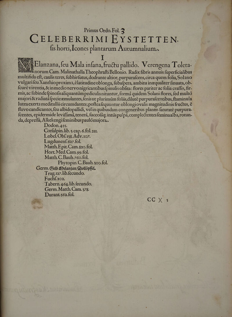 CELEBERRIMI EYSTETTEN. fis horti, Icones plantarum Autumnalium.. aND4&amp; P.lanzana, feu Mala infana, fru&amp;tu pallido. Verengena 'Toleta- 55w norum Cam. Malinathalla Theophrafti Bellonio. Radix fibris annuis fuperficialibus da eft, caulis teres, fübhirfütus, dodrante altior, purpurafcens,circa quem folia, Solano vulgarifeu Xanthio proxima,élatitudineoblon ga, fubafpera, ambitu inzqualiter finuata, ob- E Ícuré virentia, &amp;in medio nervonigricantibusfpinulis obfita: flores pariter ac folia craffis, fir- mis,ac fubinde fpinofisaliquantüm pediculisnituntur, formá quidem Solani flores, fed multó majori&amp; radiatáfpecieeemulantes,fenisut plurimüm foliis, diluté purpurafcentibus, ftaminula luteaexerta meditullii circumdantes; pofteafequuntur oblongiovalis magnitudinis fructus, flavocandicantes,fcu albidopallidi, velin quibusdam congeneribus plantis faturaté purpura- Ícentes, epidermide leviflimá,tenerá, fuccofáq; intus pulpá,complcaentes Íeminaalba,rotun- da, depreífa, Alkekengifeminibus pauló majora. Dodon. 455. Cocfalpin.lib. s.cap. 6. fol. 211. Lobel.Obf'58. Adv.1o7. Lugdunenf.627.fol. Matth. Epit. Cam.820.fol. Hort. Med. Cam.9o.fol. Matth. C. Bauh.76o.fol. Phytopin.C. Bauh.5oo. fol. Germ. G3el6 Oelangan/Gaollopffel. | Trag.127.lib.fecundo. : | ! Fuchf202. E Tabern.464.lib.fecundo. Germ. Matth. Cam.378. Durant.562.fol. CG X 5 NA 2 EN k BE e E E [m