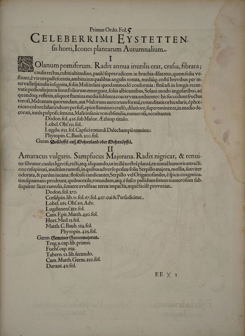 CELEBERRIMI EYSTETTEN. Íis horti, Icones plantarum Autumnalium.. «t5 Olanum pomiferum. Radix annua inutilis erat, crafa, fibrata; NT caulis rectuscubitialtitudine, paulófüpraradicem in brachia dilatatus,quemfolia ve- ftiunté virorepallefcentiaaambituinzqualibus angulis notata, mediáq; coftá brevibus per in- tervallafpinulisinfignita,foliis Maliinfani quodammodo conformia: flofculi in longis recur- vatis pediculisjuxta finusfoliorum em ergunt foliis albicantibus, Solani modo angularibus;ac quandogq;reflexis,aliquotftamina media füblutea coacervataambientes: his fucceduntfructus torofi,Mclonum quorundam,aut Malorum aureorum formá,rotunditatis orbicularis, e phoc- niceocolore hilarirubore perfufi;apiceftamineo craffo, dilutiore, fu pereminentejin medio dc- gorati, intüs pulpofi; femina, Malisinfanis nonabfimilia,numerofa;occultantes. ! Dodon.fol.456.fub Malor. /Ethiop.titulo. Lobel. Obfss.fol. | Lugdu.655. fol. Capficirotundi Dalechampii nomine. .Phytopin.C. Bauh. 5oo.fol. Germ.&amp;ollópffcl aufi oofaenlanb/ober Oofsenópffel. Amaracus vulearis. Sampfucus Majorana. Radix nigricat, &amp; tenul- terfibratur;cauleslignofirecti;atq; aliquando,utinillánoftráplantá,ex nimiá humorisattract- onerefüpinati, multümramofi,in quibusadverfo pofitu folia Serpillo majora, mollia,fuaviter odorata, &amp; parüm incana:flofculi candicantesSerpillo vel Origano fimiles, fpicis coagmina- tmfquamatis prodeunt, quibusexilejrotundum,atq; € fufco pallidum femen numerofum fub- fequitur:licet ramulis,à matre avulfisac terra impactis, aquéfacilé proveniat. Dodon.fol.270. Cocfalpin.lib.11.fol. 67.fol. 467. cui &amp; Perfadicitur...— Lobel.265. Obf 215. Adv. .. Lugdunenf.882.fol. Cam.Epit. Matth. 490.fol. Hort. Med.i5.fol. Matth. C. Bauh. 534. fol. Phytopin. 425.fol. Germ. Gseneier GGarcenmajorarte Trag. 9.cap.lib. primo. Fuchfcap.259. - Tabern.s2.lib.fecundo. Cam. Matth. Germ.250.fol. Durant. 42.fol. EEUU