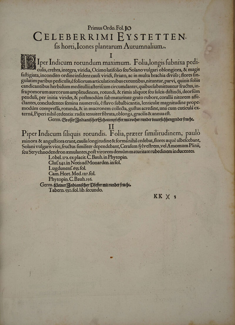 CELEBERRIMI EYSTETTEN. fis horti, Icones plantarum Autumnalium.. 5 E Iper Indicum rotundum maximum. Folia/longis fubnixa pedi- M culis, crebra;integra, viridia, Ocimolatifolio feuSolano vulgari oblongiora, &amp; magis faftigiata,incondito ordineinfidentcauli viridi, ftriato, ac in multa brachia divifo ; flores fin- . : aa . . . . E e 1 Piper Indicum iliquis rotundis. Folia, ratcr fimilitudinem, paulo minora &amp; anguftiora erant, caulislongitudine&amp;formánihil cedebat, flores eque albefcebant, Solani vulgaris vice, fructus fimiliter dependebant, Cerafum fylveftrem,vel Amomum Plinii, fcu Strychnodendronzmulantespoft virorem demüm maturitaterubedineminducentes. Lobecl.172.ex placit. C. Bauh.in Phytopin. Cluf41r.in Notisad Monarden.infol. Lugduneníf 635.fol. : Cam.Hort. Med.127.fol. Phytopin.C. Bauh.156. Germ. &amp;leiner Sgnbianifcber SDfeffer micrumber frucót. Tabern.53o.fol.lib.fecundo. KK X s