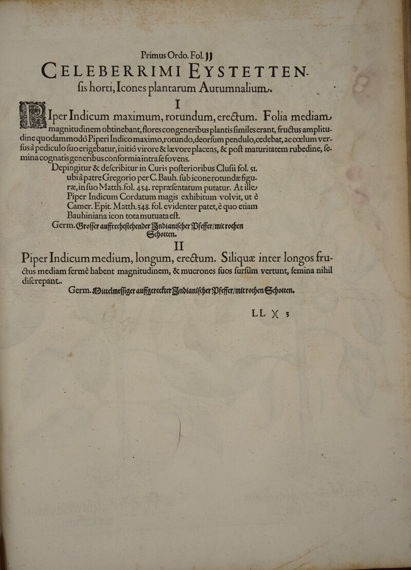 CELEBERRIMI EYSTETTEN. fis horti, Icones plantarum Autumnalium.. t $ i^ Em Iper Indicum maximum, rotundum, ere&amp;um. Folia mediam 4895 magnitudinem obtinebant, florescongeneribusplantis fimileserant, fructus amplitu- dinequodammodo PiperiIÍndico maximo,rotundo,deorfum pendulo,cedebat, accoclum ver- fusáà pediculofuocrigebatur,initió virore &amp; levoreplacens, &amp; poft maturitatem rubedine, fc- mina cognatisgeneribusconformiaintrafefovens. | - Depingitur &amp; defcribitur in Curis pofterioribus Clufii fol. sr. ubiàpatre Gregorio per C. Bauh. fub iconerotundafigu- rz,infuo Matth.fol. 434. repraíentatum putatur. At ille» Piper Indicum Cordatum magis exhibitum volvit, ut é Camer. Epit. Matth.54$. fol. evidenter patet, quo etiam Bauhiniana icon tota mutuataeft. | Germ. GSreffer auffrechrftebenber Sgnotanifcher SDfeffer microden | | GSeboctert, Piper Indicum medium, longum, erectum. Silique inter longos fru- &amp;us mediam fermé habent magnitudinem, &amp; mucronces fuos furfüm vertunt, femina nihil . difcrepant. Germ. iedlmeffiger auffaerecfeer gribiantfcher SDfeffermitcroden Soter, LL Y s —C V uo olus RR