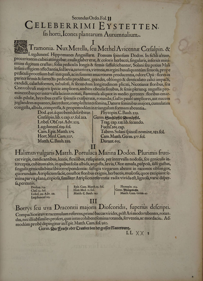 éco NE | I : ^Y Oei Tramonia. Nux Merella, feu Methel Avicennz C celalpin. &amp; NEM Lugdunenf. Hippomanes Anguillarz. Pomum fpinofum Dodon. In fictili altum, proceritatem cubitiattingebat; caulisglabererat, &amp; coloris herbacei, fingularis, inferius mini- mum digitum craffus ; folia pediculis lon gis &amp; firmis fuffulciebantur, Solani feu potius Mali infani effigiem affectantia,fed laevia;tenerio ra,virentia,margini busaliquantüm finuofa, prope pediculi procefsum bafi inzquali;acin fümmo mucronem producentia, odorc Opi : floresin pariter firmis &amp; furrectis pediculis prodibant, grandes, oblon go &amp; denticulato calici impact, candidi, calathiformes, tubulofi, &amp; fecundum longitudinem plicat, Nicotianz floribus, feu Convolvuli majoris fpecie ampliores,ambitu obtufis finubus, &amp; fenis plerunq; anguftis pro- minentibusperintervalla laciniisnotati, ftaminula aliquot in medio gerentes: floribus emar- cidis pilule, brevibus craffis fpinulis exafperatz, rotunda, Gallis pauló ampliores,aut nucem juglandemzquantes,fuccedunt;complectentes femina,Datura feminibus majora, cumulatim congefta, albida, compreffa, &amp; propemodümin trian gulam formam abeuntia.. Dod.456.àquobenédefcribitur. Phytopin.C. Bauh.229. Cocfalpin.lib.s.cap.iz.fol212. —|Germ. &amp;tecbópffel/&amp;omópffel. Lobel. Obf.136. Adv.105. Irag.cap.128.lib.fecundo. Lugdunenf.629.fol. ! | Fuchf26s.cap. - | Cam.Epit.Matth.175.—— | Tabern.Solani fpinofi nomine,232.fol. Hort. Med. Cam.1o7. Cam. Matth. Germ. 3577.fol. Matth. C. Bauh. 225. | — JDurant.655. cat virgis, candicantibus, lentis, flexilibus, refüpinatis, per intervalla nodofis, fcu geniculis in- terceptis, cubitumaltis, in quibusfolia albida, angufta, laevia, Olez aemula, pulpofa, falfi guítus, fingulisgeniculisbinafibicorrefpondentia; faftigia virgarum abeunt in racemos oblongos, quorundam Atriplicum facie, onuftos floribus exiguis, herbaceis, mufcofis, quos excipiunt fc- »minaparva,plana,copiofa, fimiliter Atriplicesreferentia: radix vivida eft, lignofa,varié difper- fa,perennis. 9 Dodon. 759. Epit. Cam. Matth.s;. fol. Phytopin. 564. Cluf. 54. fol. Hort. Med. 71. fol. Germ. SYteergetvedfs. : Lobcel. 215. Adv. 16$. | Matth. C. Bauh. 145. | — Matth. Cam. Germ.45. Lugdunení:26;. | Dotrys feu uva Draconair majoris Diolcoridis, fuperius defcripti. Compactiorisuva racemulumreferensprimó baccas virides, poft Ari modorubentes,rotun- das, nec illiabfimiles profert, queintuscohibentfemina rotunda,ferventia,ac mordacia.. Ad- modum probé depingitur in Epit. Matth. Cam.fol. 560. | | Germ.gic9firucoc ober SCrauben $on er aroffet 9 Yattertourg. | LL XX s f i* T2