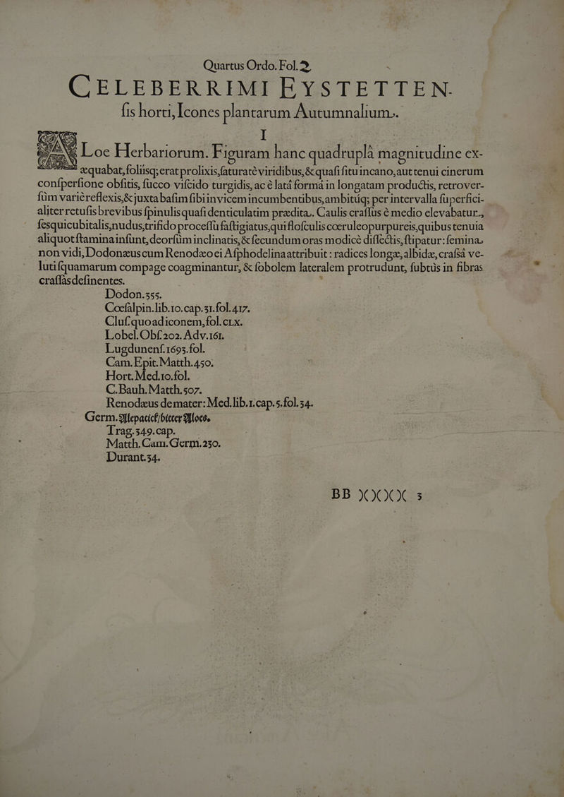 CELEBERRIMI EYSTETTEN. Íis horti, Icones plantarum Autumnalium..- DNE Loc Herbariorum. Figuram hanc quadruplà magnitudine ex- CUSPSZ cquabat,folisq;erat prolixis,faturaté viridibus, &amp; quafifitu incano,aut tenui cinerum coníperfione obfitis, fucco vifcido turgidis, ac € latá forma in longatam products, retrover- fim variéreflexis,&amp;juxtabafim fibiinvicemincumbentibus,am bitííq; per intervalla fuperfici- aliter retufis brevibus fpinulisquafi denticulatim pracdita.. Caulis craffus 6 medio clevabatur., fesquicubitalis,nudus;trifido proceffü faftigiatusquiflofculis coeruleopurpureis,quibus tenuia . aliquotftaminainfünt,deorfüminclinatis,&amp;fecundum oras modicé difle&amp;tis, ftipatur: femina. non vidi, Dodonzuscum Renodxoci Afphodclinaattribuit : radices longa, albidae, crafsá ve- lutifquamarum compage coagminantur, &amp; fobolem lateralem protrudunt, fubtus in fibras craflasdefinentes. , Dodon.sss. | Cocfalpin. lib.1o.cap. 31.fol. 417. Cluf.quoadiconem,fol. crx. Lobel.Obf20o2. Adv.16r. Lugdunenf.1695.fol. Cam. Epit. Matth. 450; Hort. Med.1o.fol. C. Bauh. Matth.507. Renodaus de mater: Med.lib.1.cap.s.fol. 54. Germ.3fepacicf/bicter 9llocs. Trag.s49.cap. | Matth. Cam. Germ.2530. Durant.34.