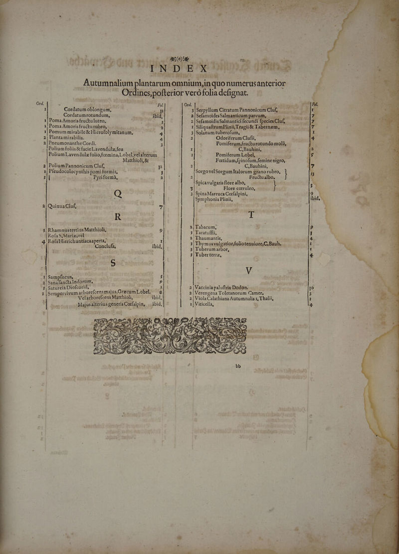 i VENE - DS £L CER * c T à dusthus cM ME i Y: s u  * TERRA M TRA TOS NL * * E^ * ; U mus eo a am ^ 5 - i d e S bl. '*  I * à *, MN fran vigi xci ij AM 0444 tei gnári B ; Autumnalium plantarum omnium,in quo numerusanterior .. Ordincspofterior verófolia defignat. - Y ng? Ord. :  s uv Ord. p^: ^ ; : Cordatum oblongum, ; | NU | 3 Serpyllum Citratum Pánnonicum Cluf,. a 4 Cordatumrotundum, Abid, 2 SefamoidesSalmanticum parvi 1 009.9 1| Poma Amoris fructuluteo, ; I | 2 Sefamoidis Salmantici fecundi. ecies Cluf, 1, Poma Amorisfructurubro,: .. 5 t Siliquafttu mPlinii, Tragii &amp; Tabernzm, I Pomum mirabile &amp; Hierofolymitanum, 4 | s|Solanum ruberofum,  2| Planta mirabilis. 4 | Odoriferum Clufii, ; 2 | Pneumonanthe Cordi. E iur Pomiferum;fru&amp;urotundo molli, Polium foliis &amp; facie Lavendulz,feu 1|. Ke ,Bauhini, |Polium Lavendula folio,foemina, Lobel, velaltétum | 1| Pomiferum Lobel, vts il Matthioli, 8 Foctidum,fpinofum, feminenigro, - 2 |Polium Pannonicum Cluf, kde m | 2 C,Bauhini, 1| Pfeudocolocynthispomiformis, - j | SorgovelSorgum Italorum grano rubro, | 3li | . Pyriformà, 2 | 2 Bnicieulioe Spicavulgarisflorealbo, — 1 - | | | Flore coeruleo, f: | Q ri | !— 8i SpinaMarruca Cocflpini, € HRS 1 | | [ormptonia tion, 2| QuinuaCluf, ; ? | | . à Z | divin zur | died E i 3 abacum.. »: 3| Rhamnustertius Matthioli, 5 3 Taratuflli, RofaS,Mariz,vel Minn | Hi biuuag RofaHierichuntiacaaperta, I | ; d - j Condufi, i ib 4] : Thymosvalgaionfoliotensore C Bauh, — |  Pup Dd — | | 3| Tuberterrz, ' | muivbeBs we 1| ge . I| Sampfucus, : m nre $ f 2 Sana fancta Indorüm, : PA E a^ 3 | Gaturei4 Diofcorid, dbi eso | 2 [Vaccina pda Dodón; isi -- : 5 | Semaperiivumarborefcens pnajus, Graecum Lobel. e| | 2 | Verengena Toletanorum Camer, A : Velarborcfcens Matthioli, ibid, 2| Viola Calathiana Autumnalis eap ind d dm Majusalterius generis Cocfalpin, ibid, 1ME 1| Viticella, b nomi ei deu / P». : U 1E TW LE  C uu 4 : b.i3 (* EN TZ ? i e SEM o PA:  ' ? bb 1 ' . 1 » d CC cv : TRO : A il m | NR a Lc A STR T SOROR CC ENERO RCRUM OMS TEES « NNLLA, VENUS AINE LS s cilus . MIpGtELP tM Lr oa ane (1n 