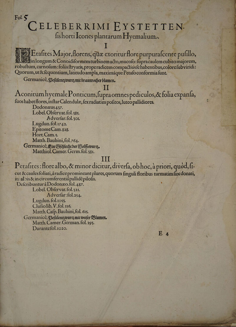 Fo$ — | kc. jc 68 A PS (CELEBERRIMI EYSTETTENÓ (ishora Icones plantarum FH yemalium.. 5o): Ercafites Major, florens, quz exoritur flore purpurafcente pufillo, B. veXinlongum &amp; Conoidiformemturbinemacto,mucofo: fupracaulem cubito majorem, robuftum, carnofüm:foliisftryatis properadicem compadtiusfe habentibus.colore fubviridi: Quorum,ut&amp;fequentium, latitudoampla, maximáque Petafo conformia funt. Germanice, sseflenatoura mic braumrodier blumen, Aconitumh emale Ponticum,fupra omnes pediculos,&amp; folia expanfa, fuoshabetflores, inftar Calendule, fex radiatim pofitos, luteo pallidiores. ; Dodonzus4537. | Lobel. Obfervat.fol. 585. | A dverfar.fol. sor. Lugdun.fol.1742. EpitomeCam. 823. Hort. Cam.5. Matth. Bauhini,fol.764. Germanice, f£ín G3(cblecbc oer SGolfetoutts, Matthiol. Camer. Germ.fol. 581. III . : — — Petafites:florealbo, &amp; minor dicitur, diverfa, ob hoc,à priori, quód, fi- | . cut &amp;caulesfoliati,áradice promincant plures, quorum finguli floribus turmatim fipcdonati, | itc alois&amp;incircumferentiá pallidé pilofis. | Uefcribunturà Dodonzo.fol. 487. Lobel. Obfervat fol. 321. Adverfar:fol.254. Lugdun.fol.1055. Clufiolib. V.fol.16. — . Matth. Cafp. Bauhini;fol. óis. Germanicé,$pefülentgtourca mit tveifer 95luert, Matth. Camer. German. fol. 295. Durantefol.1020.