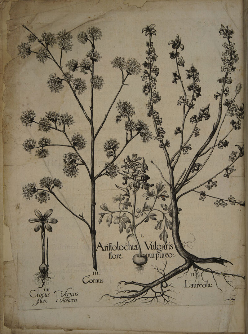 J CLERC aM ORA E: rb S 2 M^. 5 a LA A N £— 344 e. ud PAMPIHAFHMERHIREFEHEETRRME TX EXPE er ETY 0T