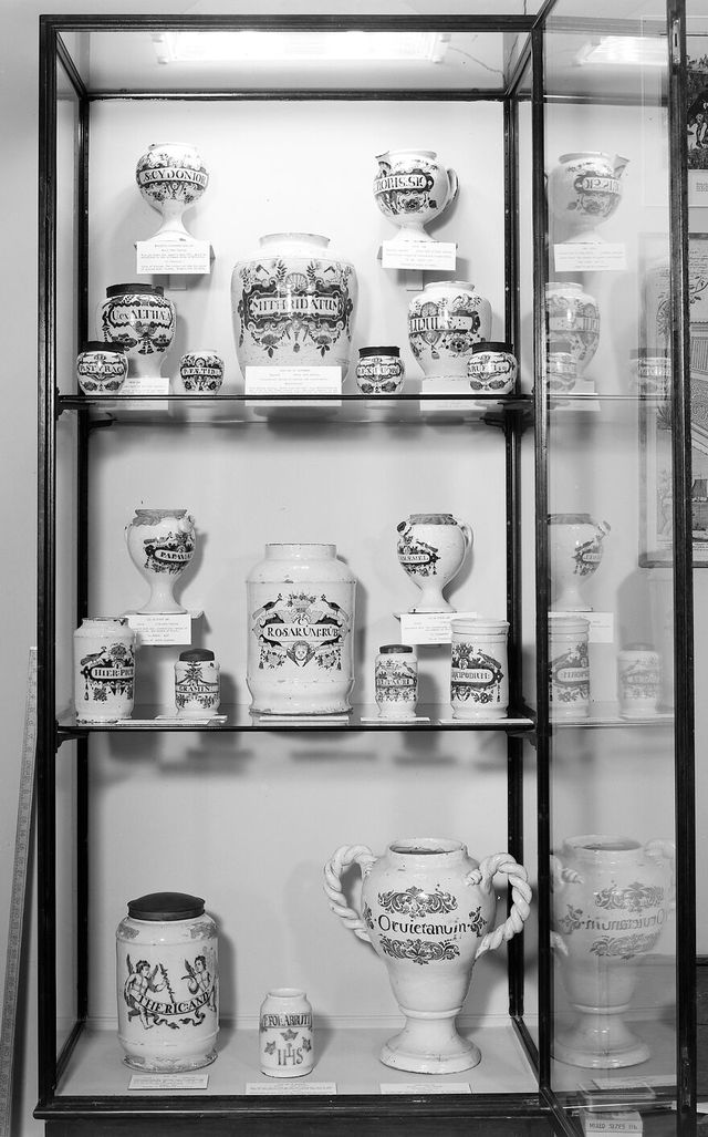 No text description is available for this image