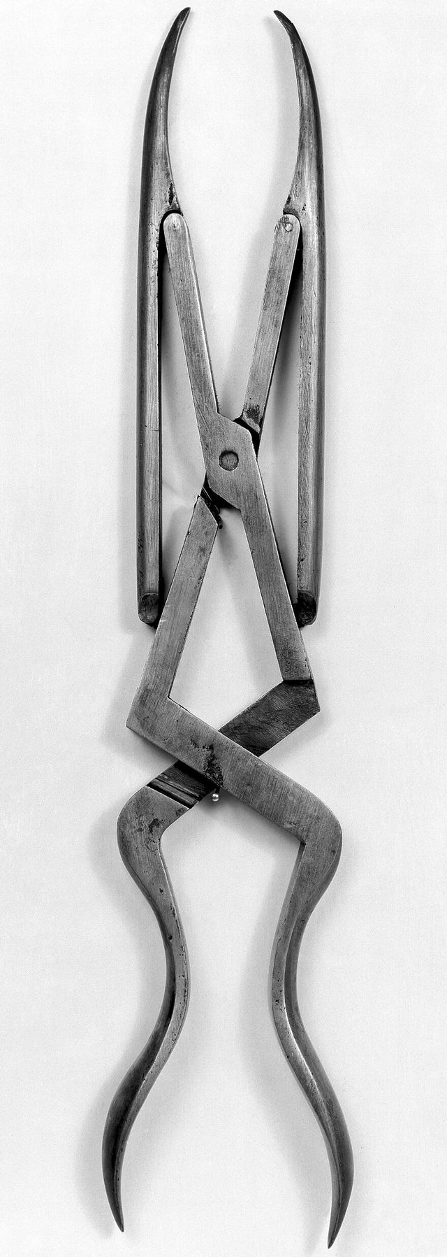 No text description is available for this image