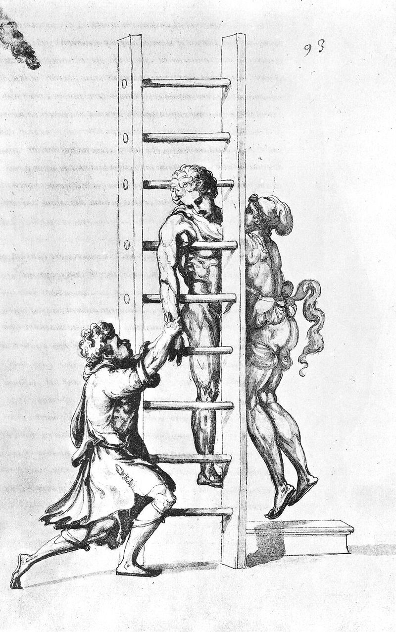 No text description is available for this image