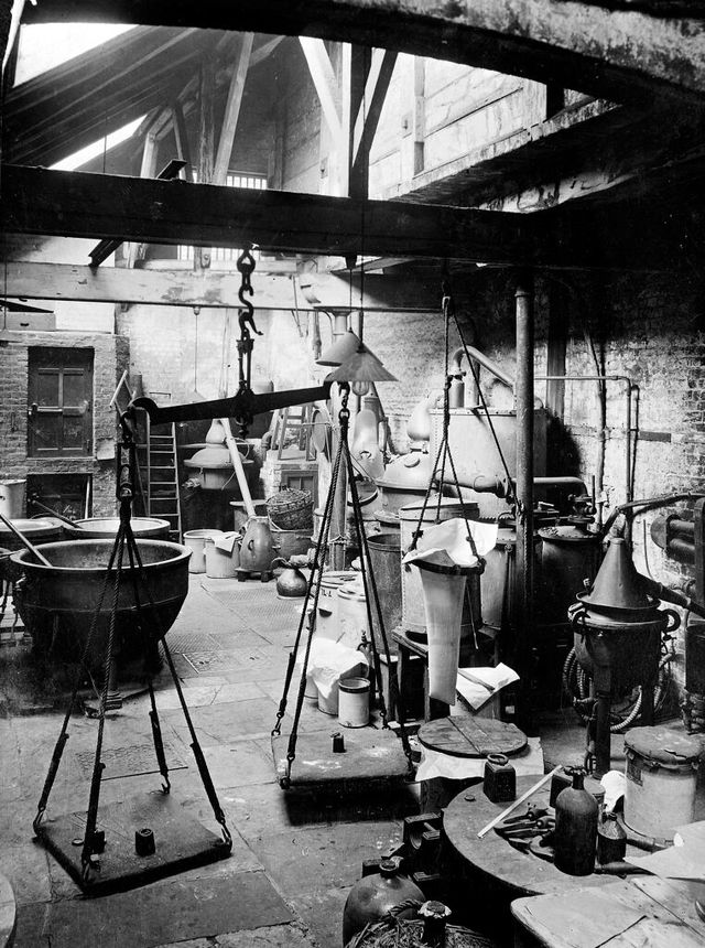 No text description is available for this image