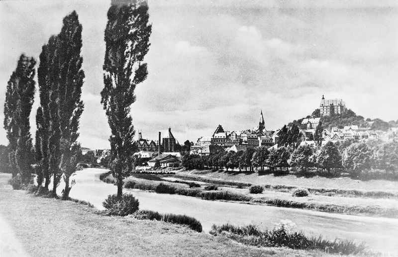 No text description is available for this image