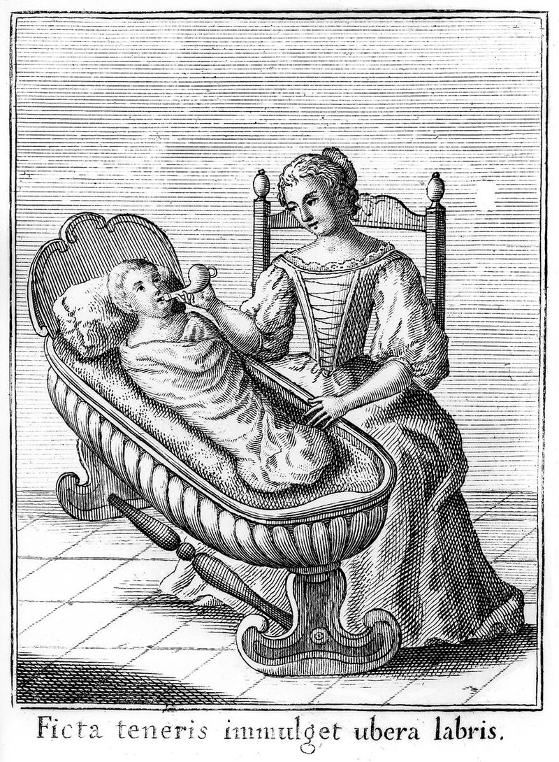 No text description is available for this image