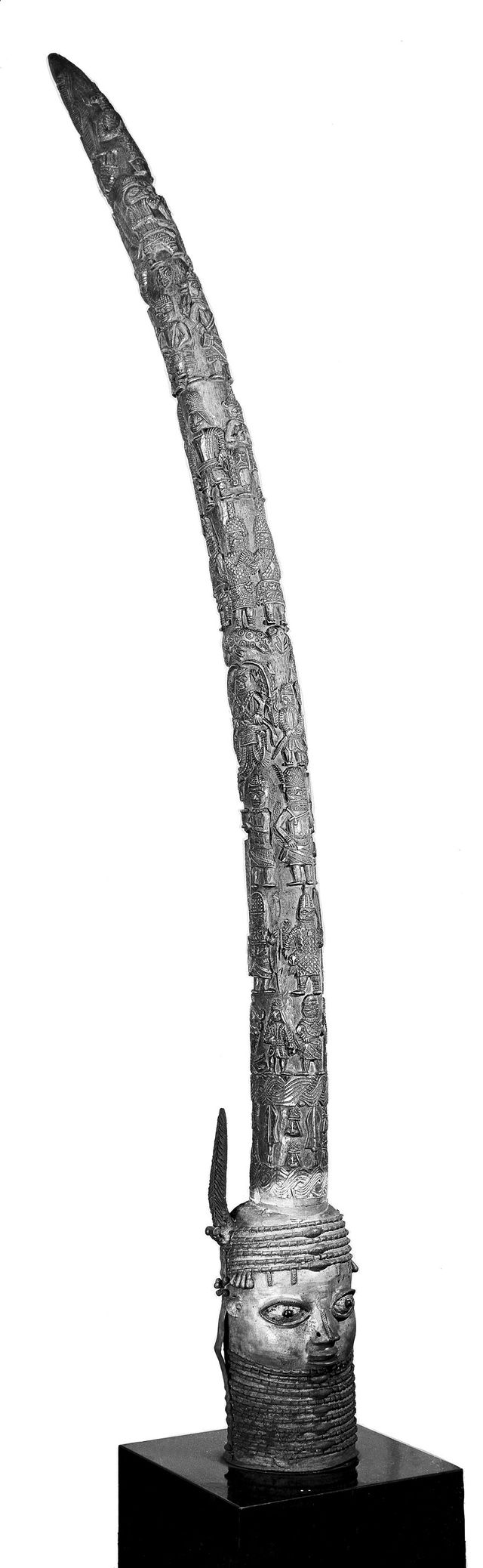 No text description is available for this image