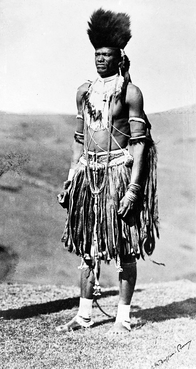 No text description is available for this image