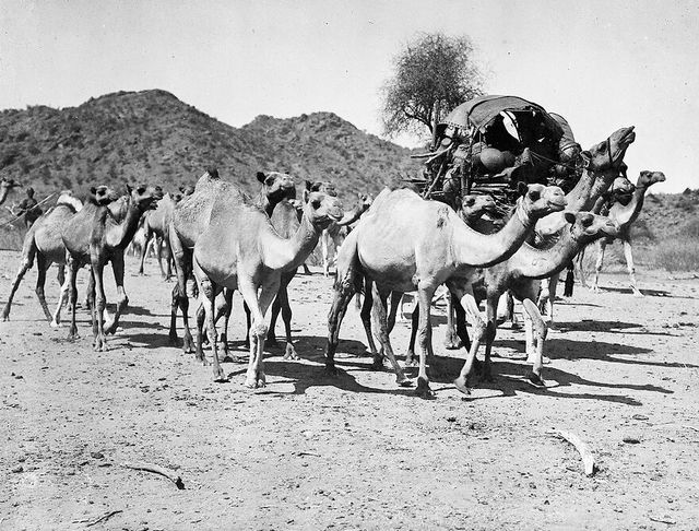 No text description is available for this image