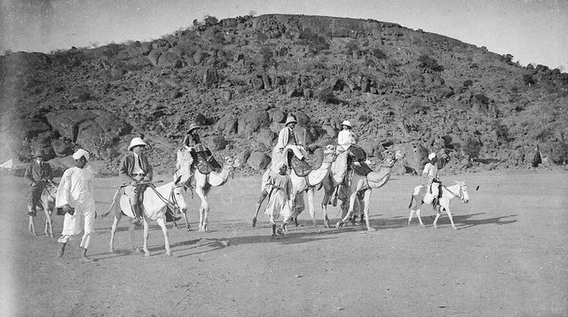 No text description is available for this image