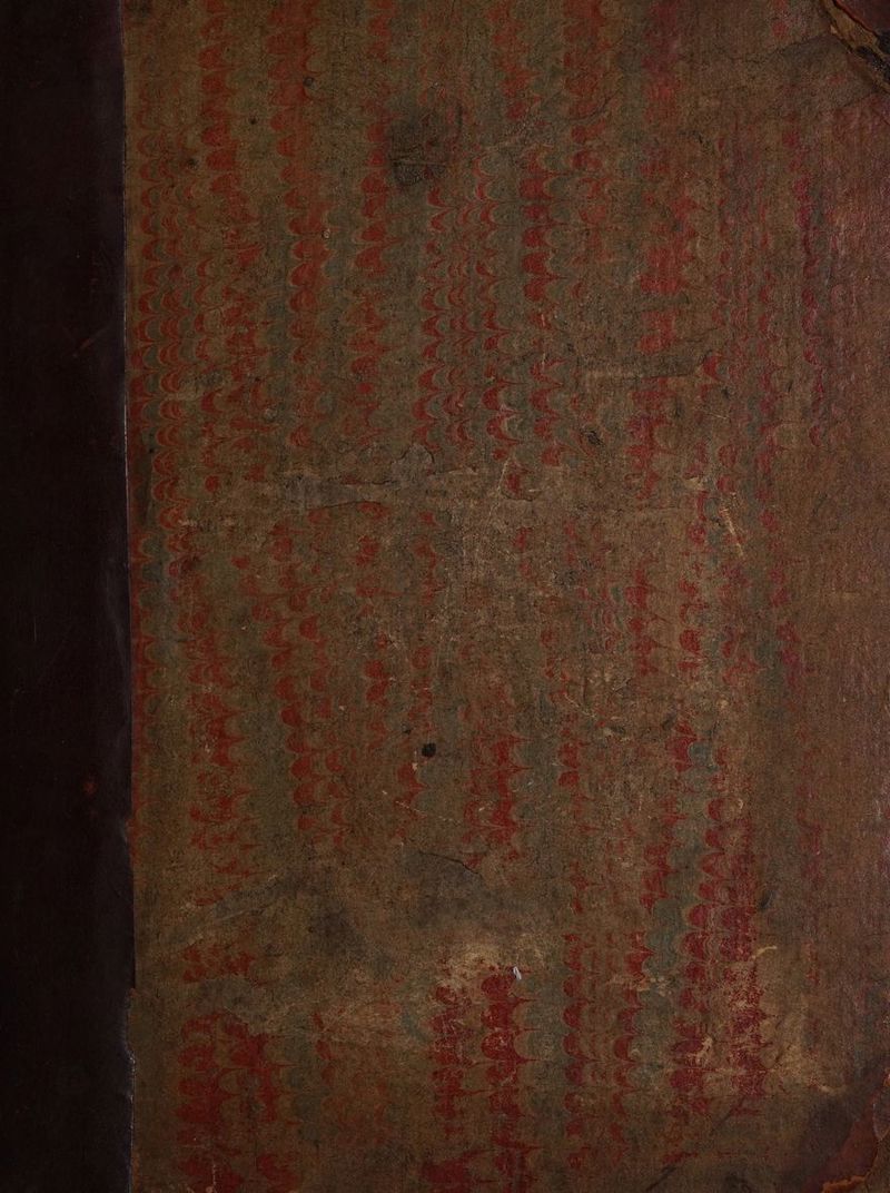 No text description is available for this image