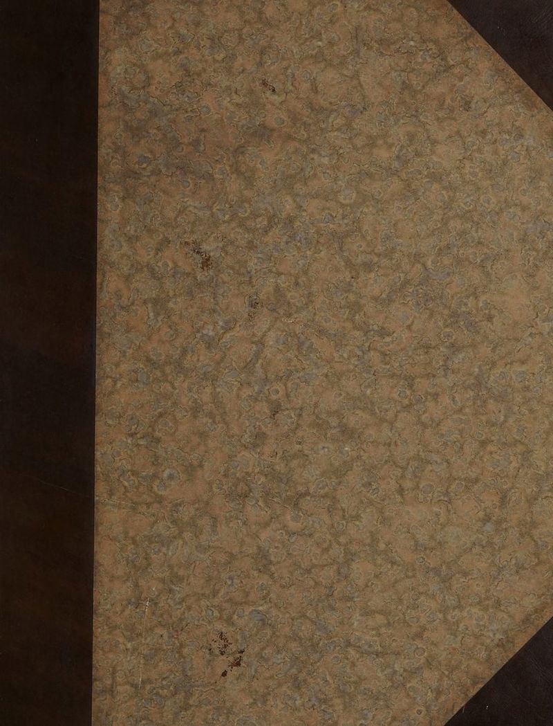 No text description is available for this image