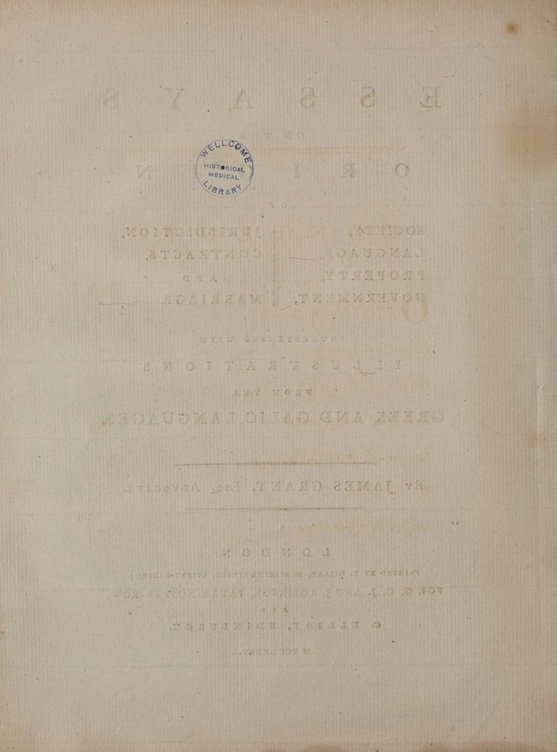 D 14 ., ADH at MS rr a in re a Air M oo e rat pee ac N 5 aA S A } te V a ... £4 N Y i a. b i 8 HOR ay ‘ 6 2n Ly oe; £ a ae an ee Ν i | | i ei i μι THOS | Las i i AS s, ^*^ Ae he | s | πο τα η i. ats o bs if = σος os Se jee ο μας OE } LY * [ he 7, AA ή NA a TS “ae ie.