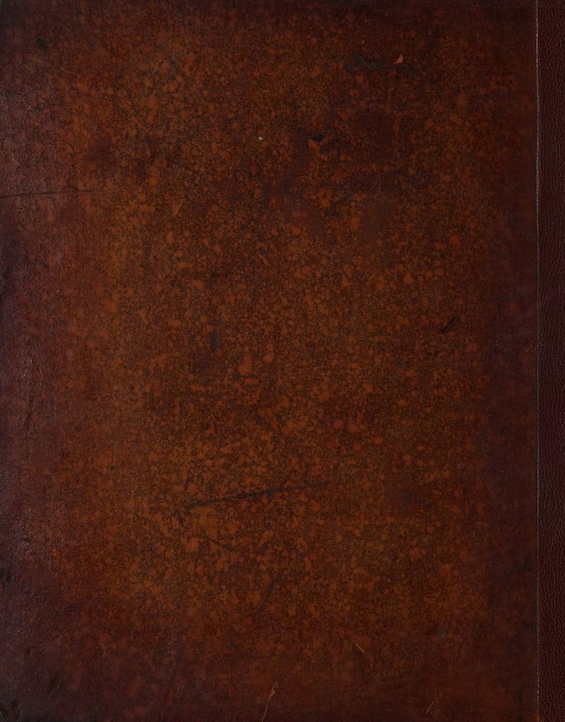 νο ο ο ee ee ih Sete